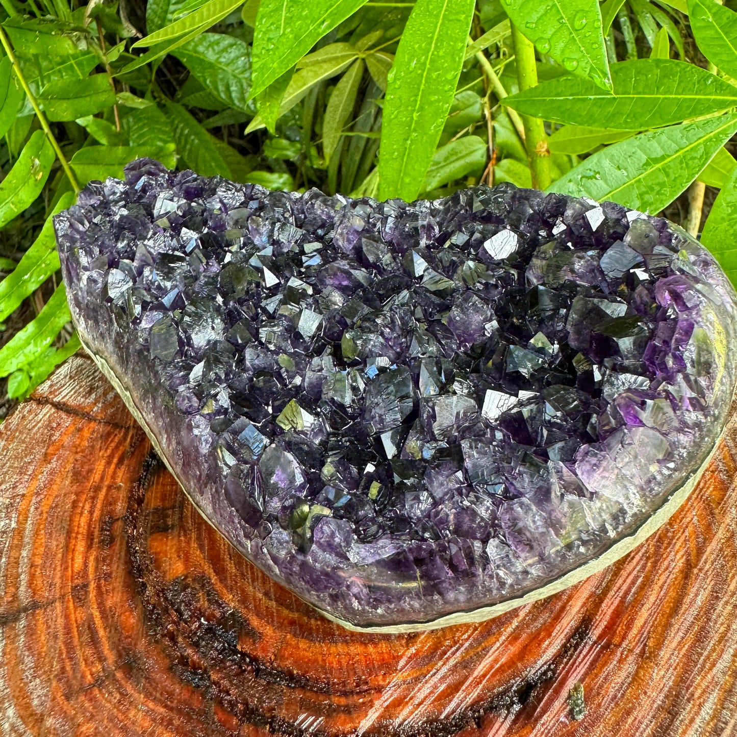 Natural light view of a single Amethyst raw geode sourced from Uruguay.