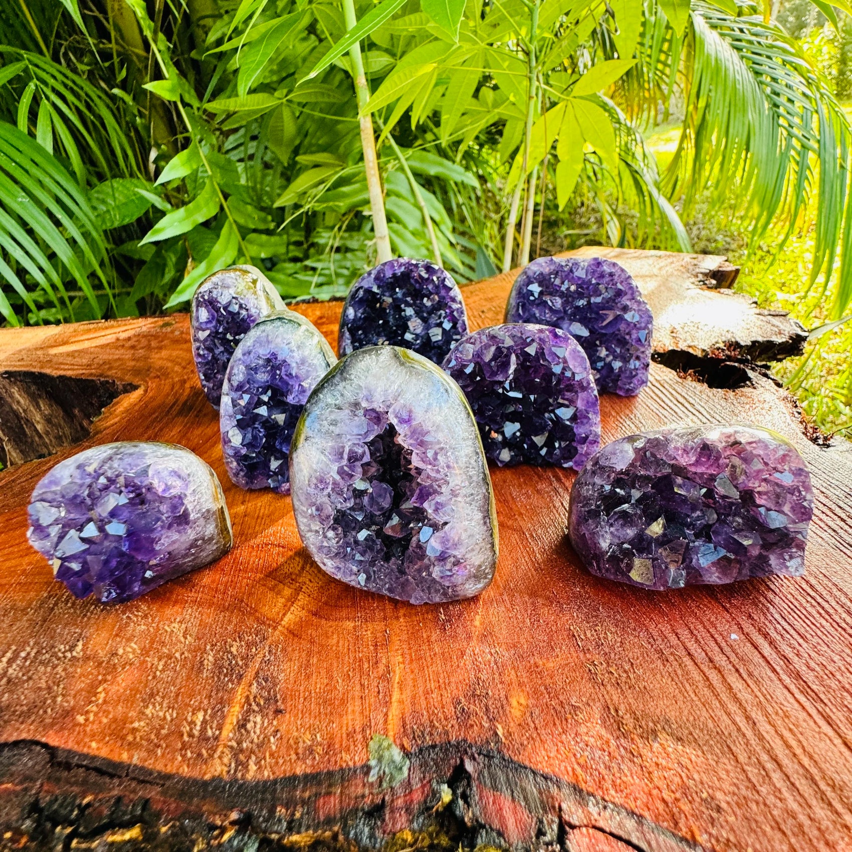 Back view of Grade AA Amethyst geode showing natural surface