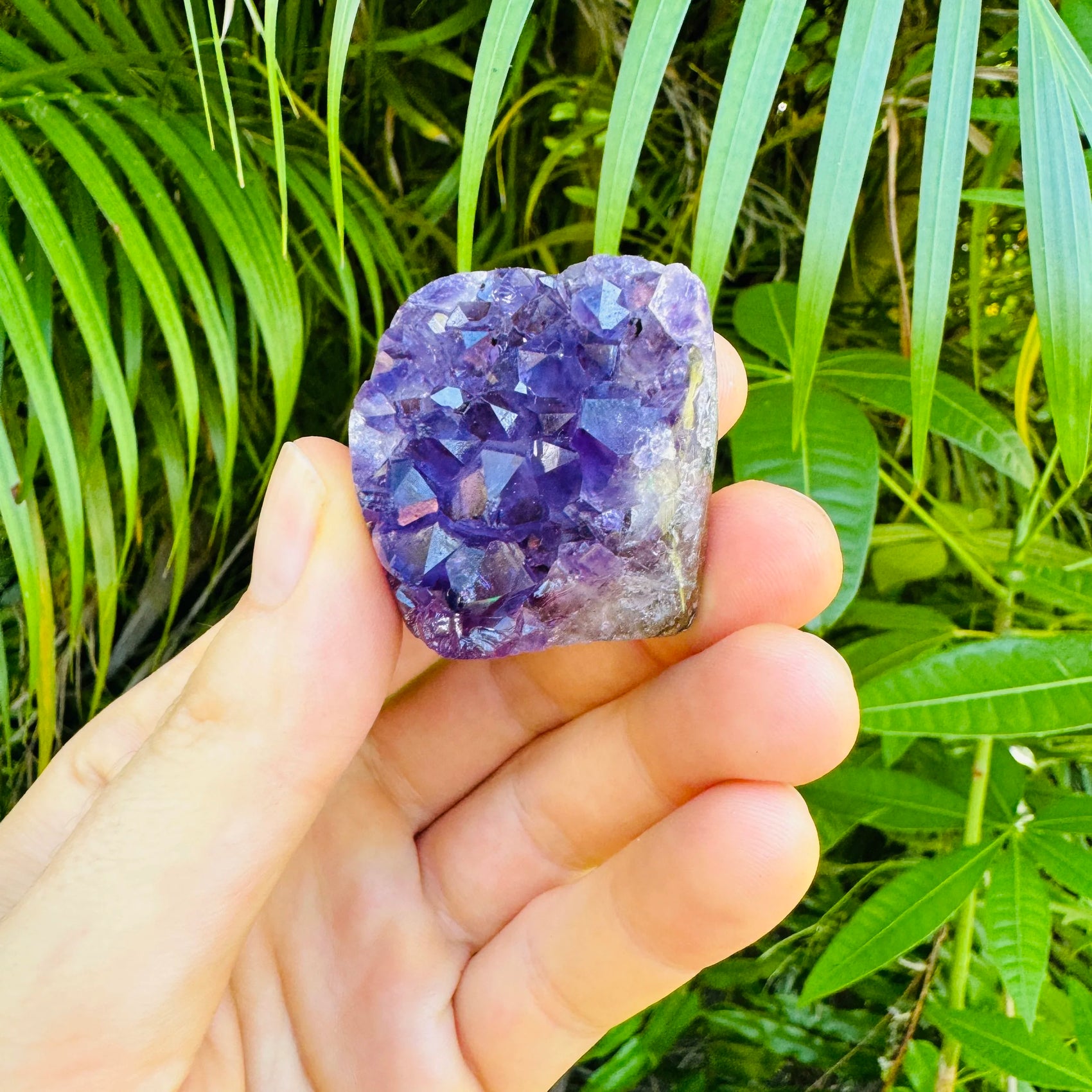 Alternate angle of Amethyst raw geode, showing characteristic color, Uruguay-sourced.