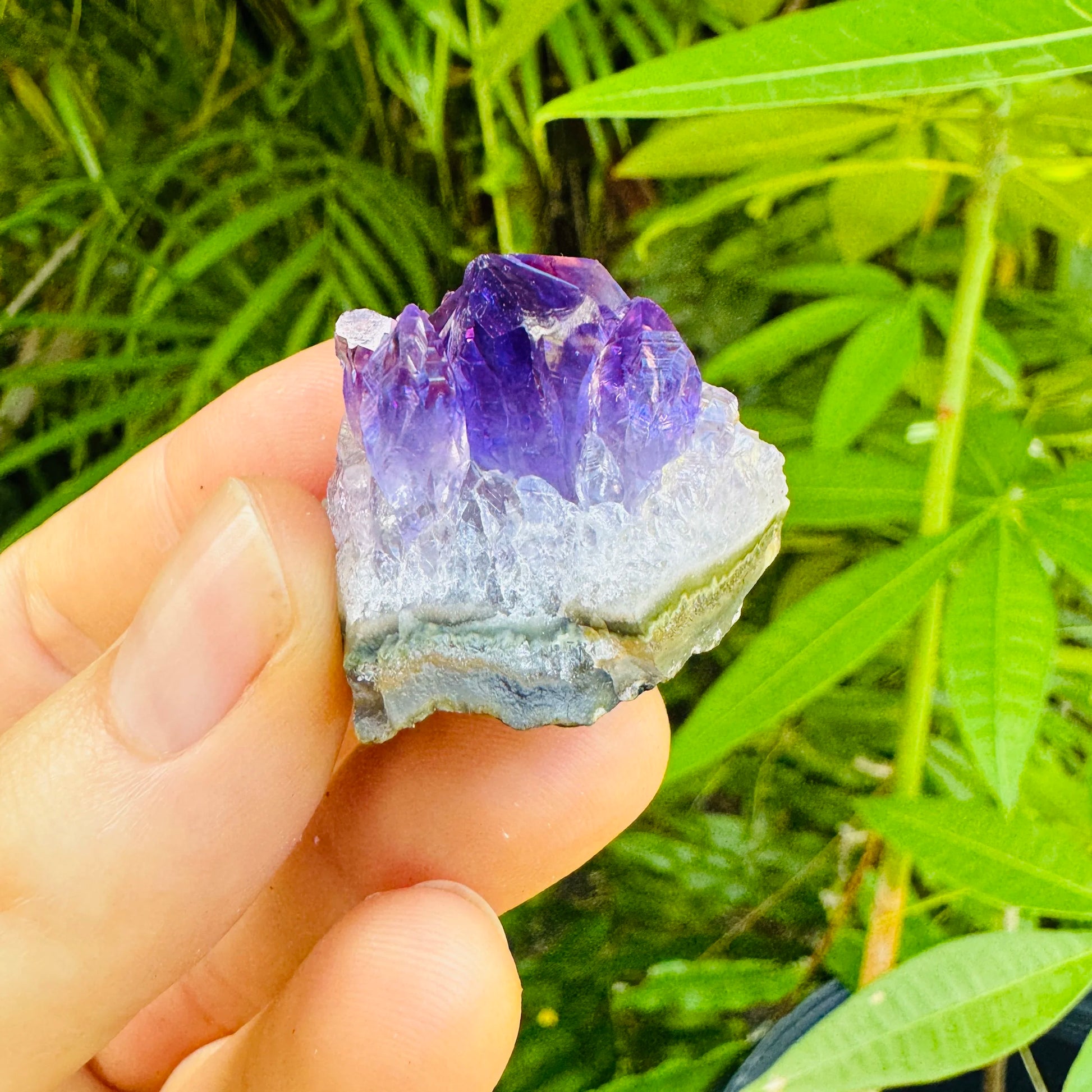 Full profile of Grade AA Amethyst cluster ready to ship from Beyond Bohemian