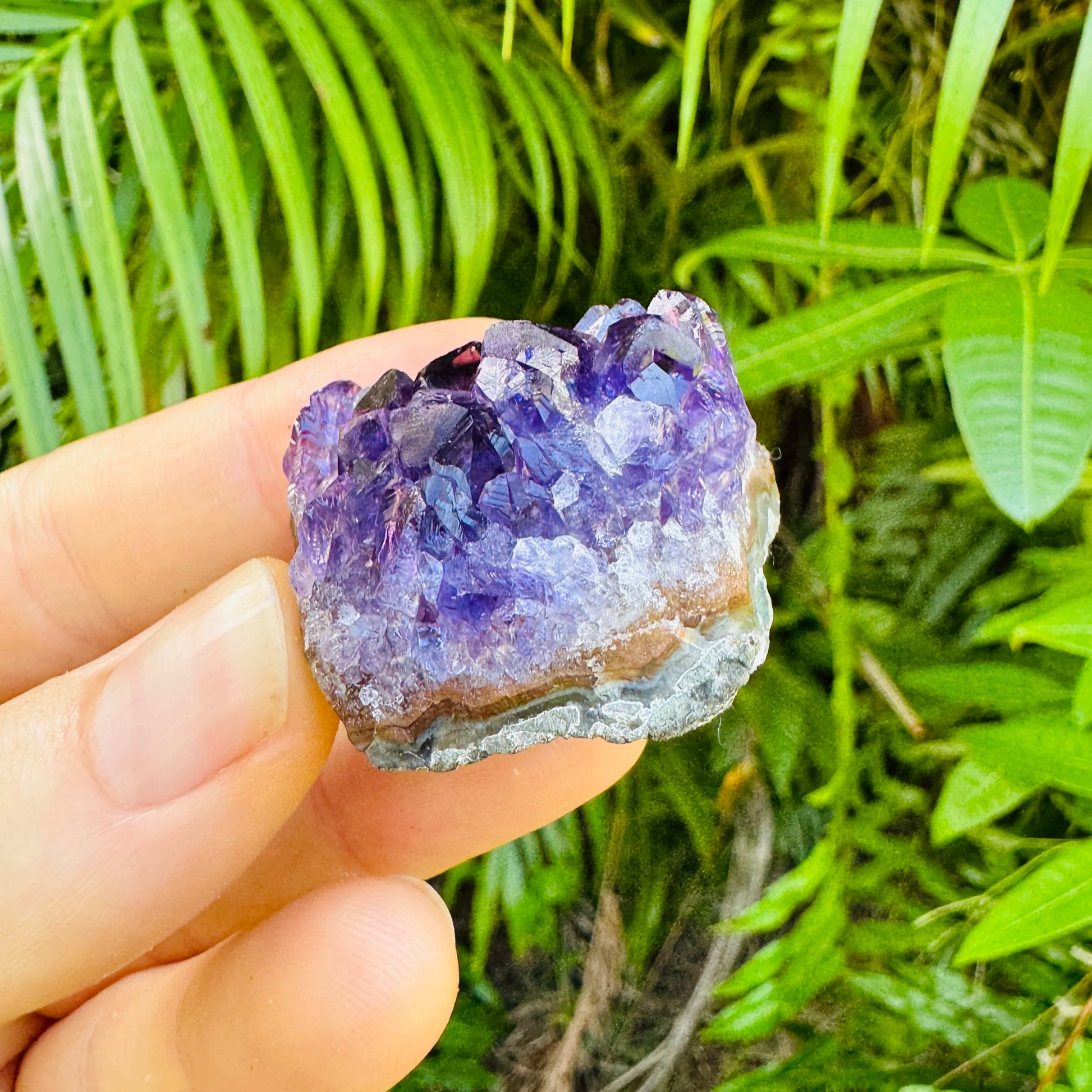 Full profile of Grade AA Amethyst cluster ready to ship from Beyond Bohemian