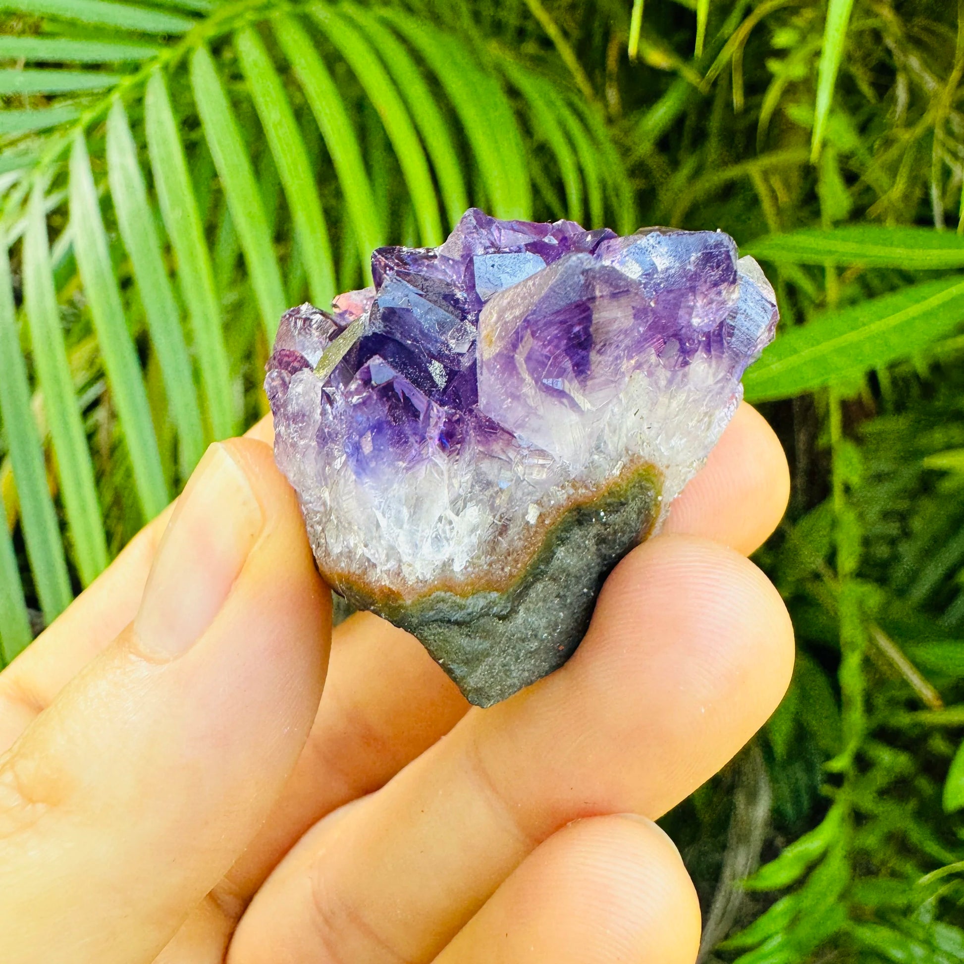 Full profile of Grade AA Amethyst cluster ready to ship from Beyond Bohemian
