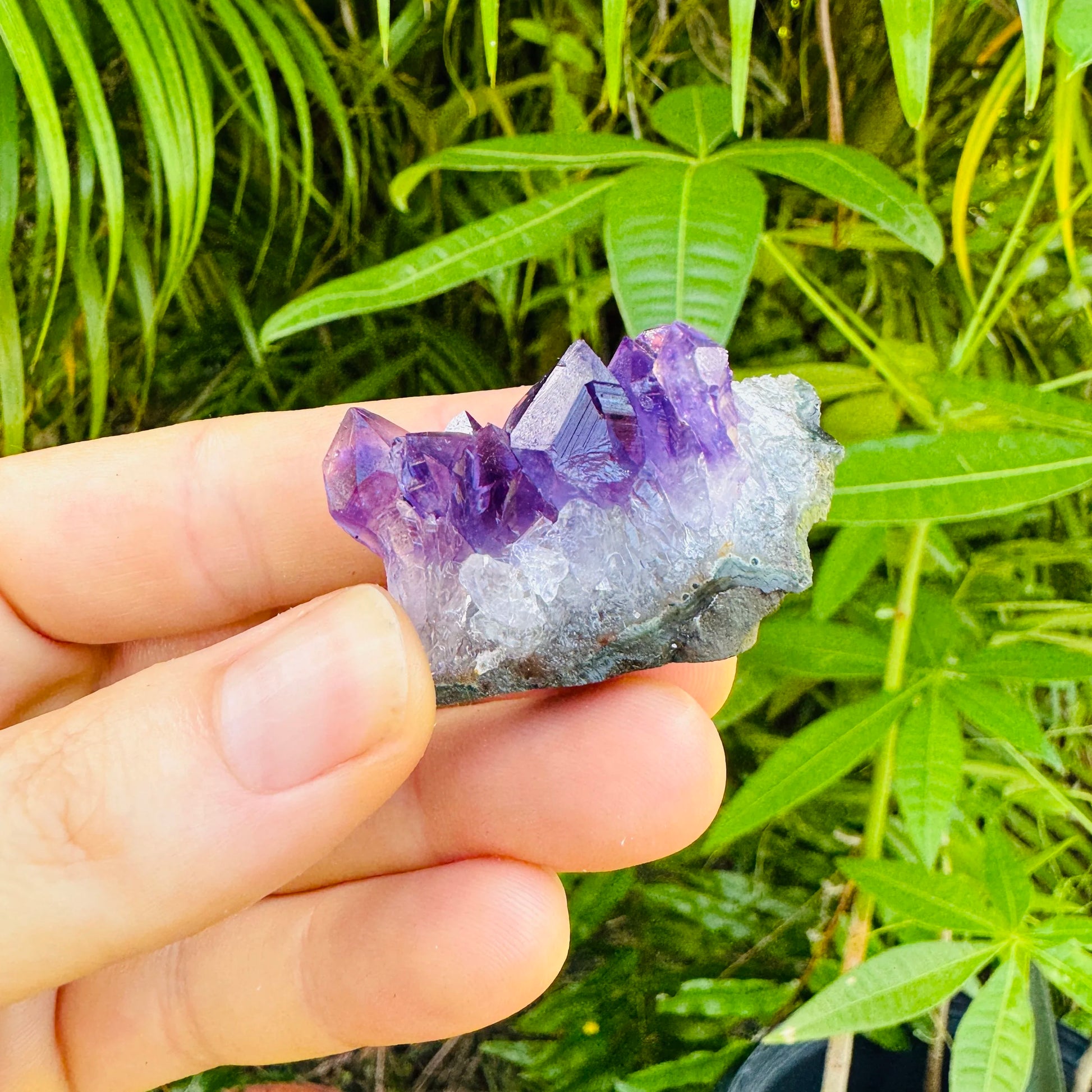 Full profile of Grade AA Amethyst cluster ready to ship from Beyond Bohemian