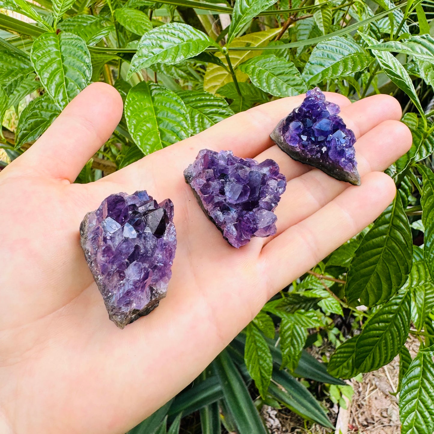 Full profile of Grade AA Amethyst cluster ready to ship from Beyond Bohemian