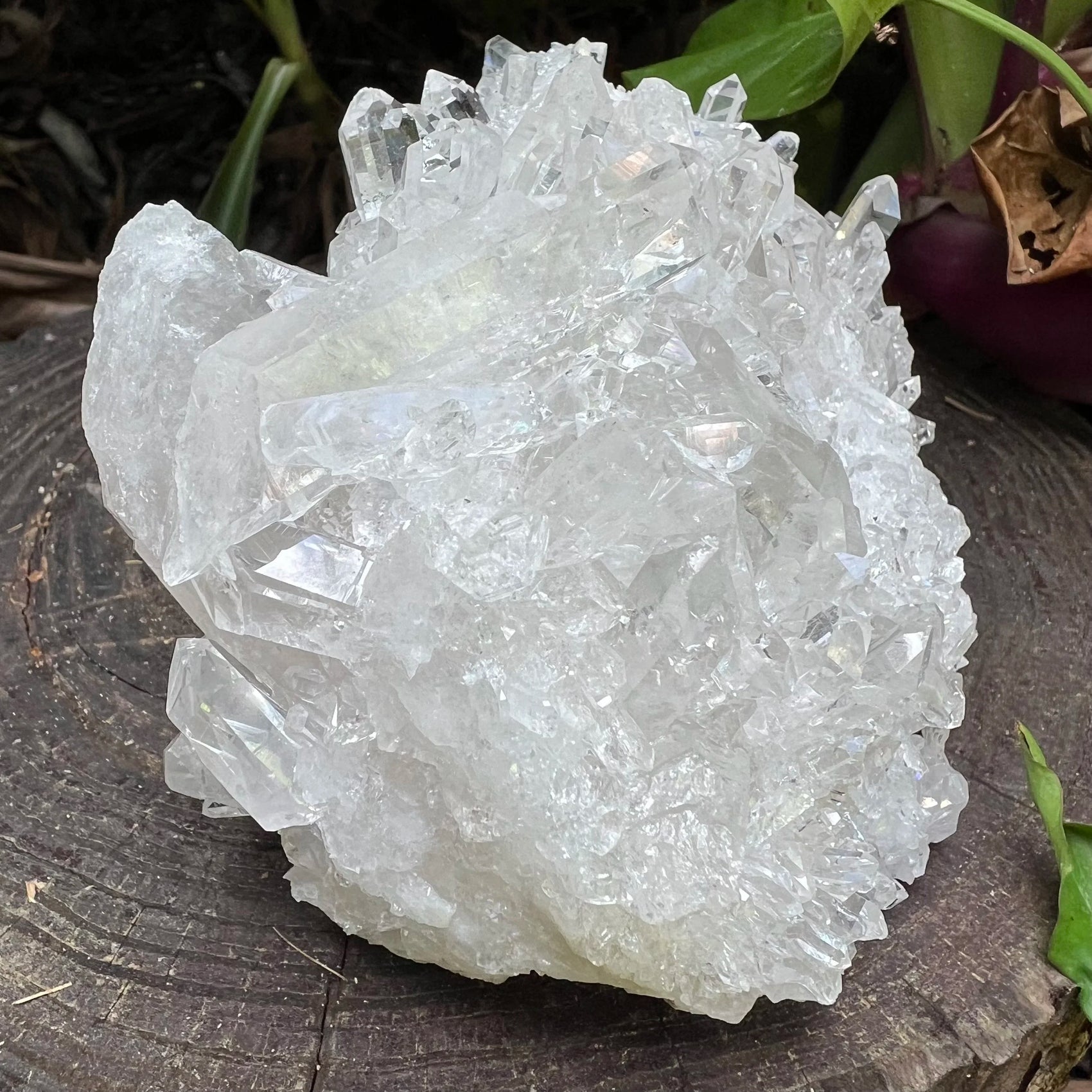 Profile view of Grade AAA Clear Quartz specimen, Brazil-sourced, showing characteristic patterning.
