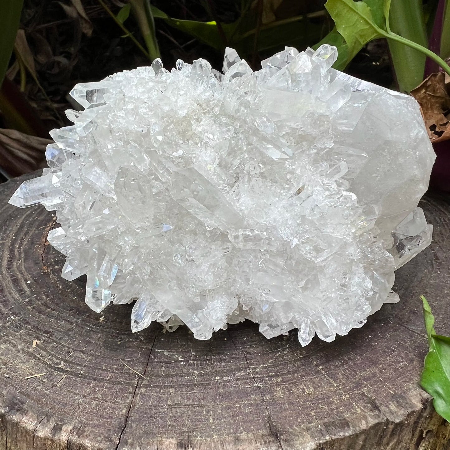 Top-down shot of Clear Quartz specimen, hand-selected from Rio Grande do Sul, Brazil.