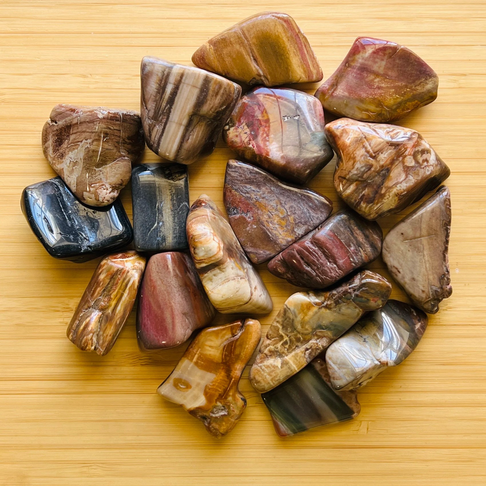 Petrified Wood