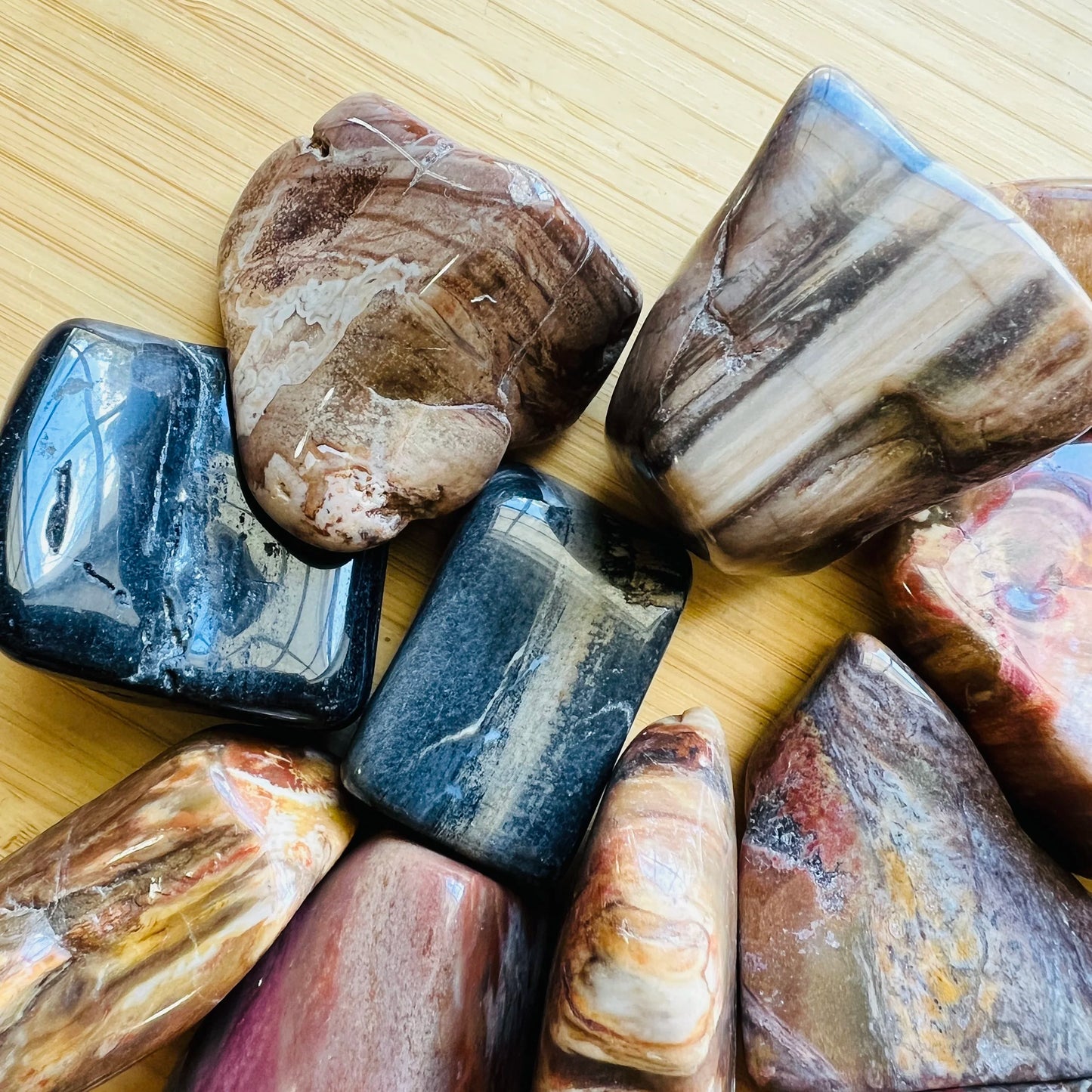 Rear view of Petrified Wood tumbled stone, showing characteristic color.