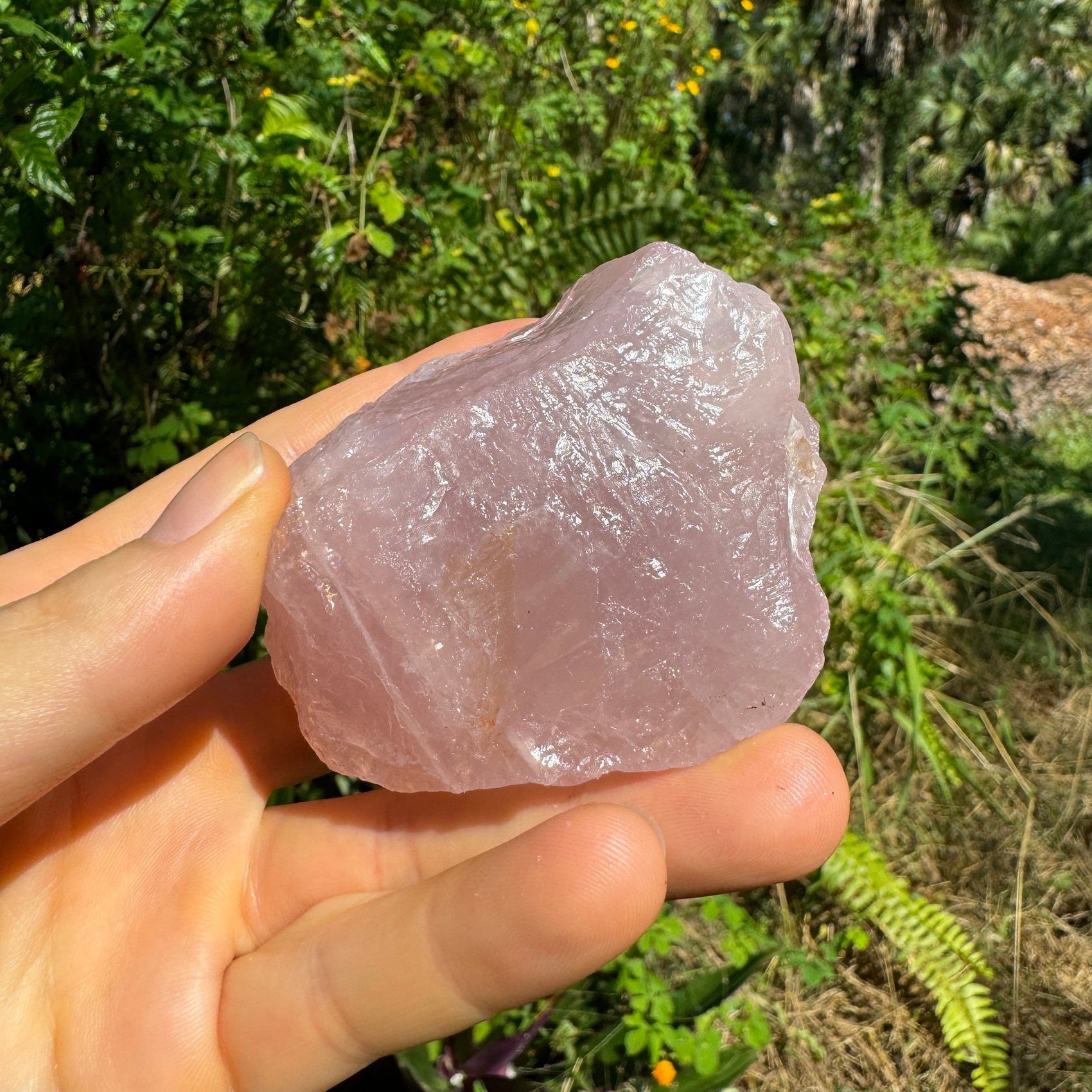 Scale reference of one Rose Quartz specimen for scale, from Alaotra-Mangoro, Madagascar.