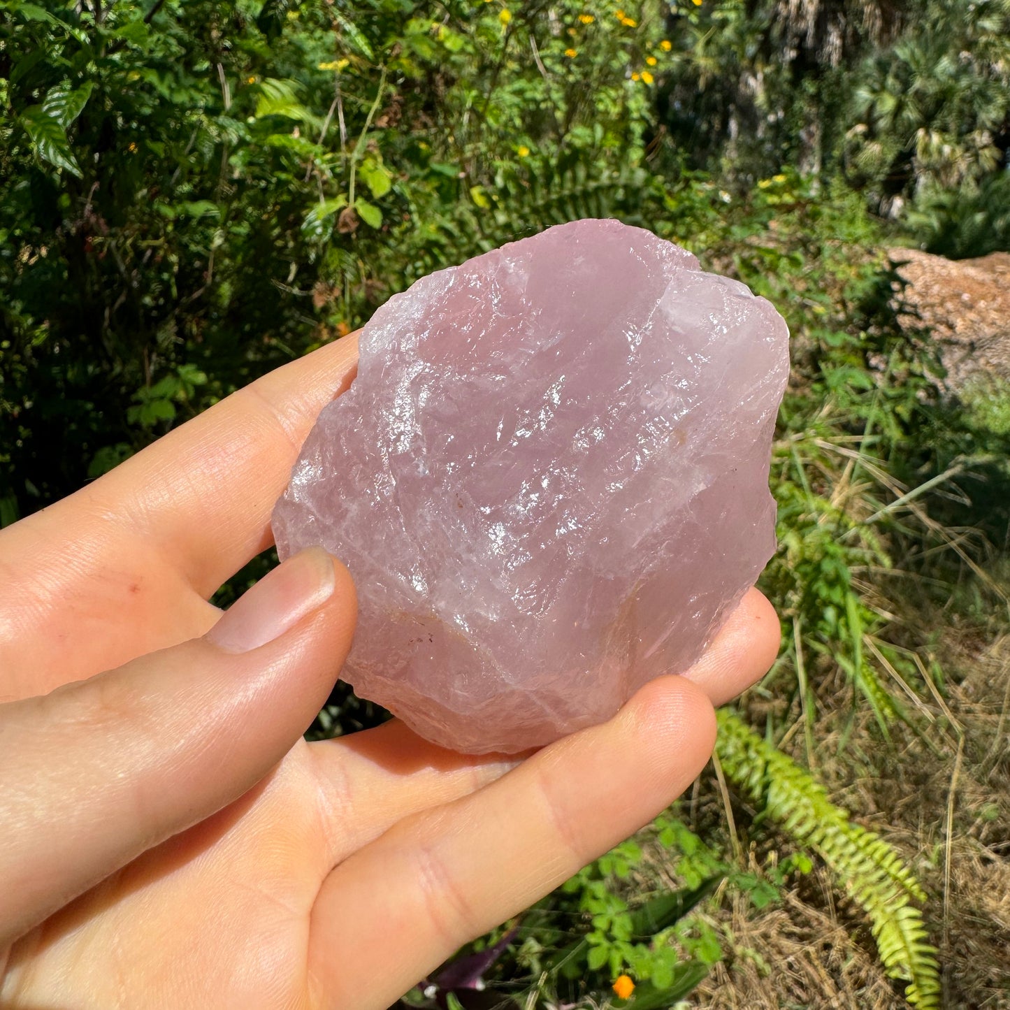 Hand-scale view of Rose Quartz specimen, set against a soft neutral surface.