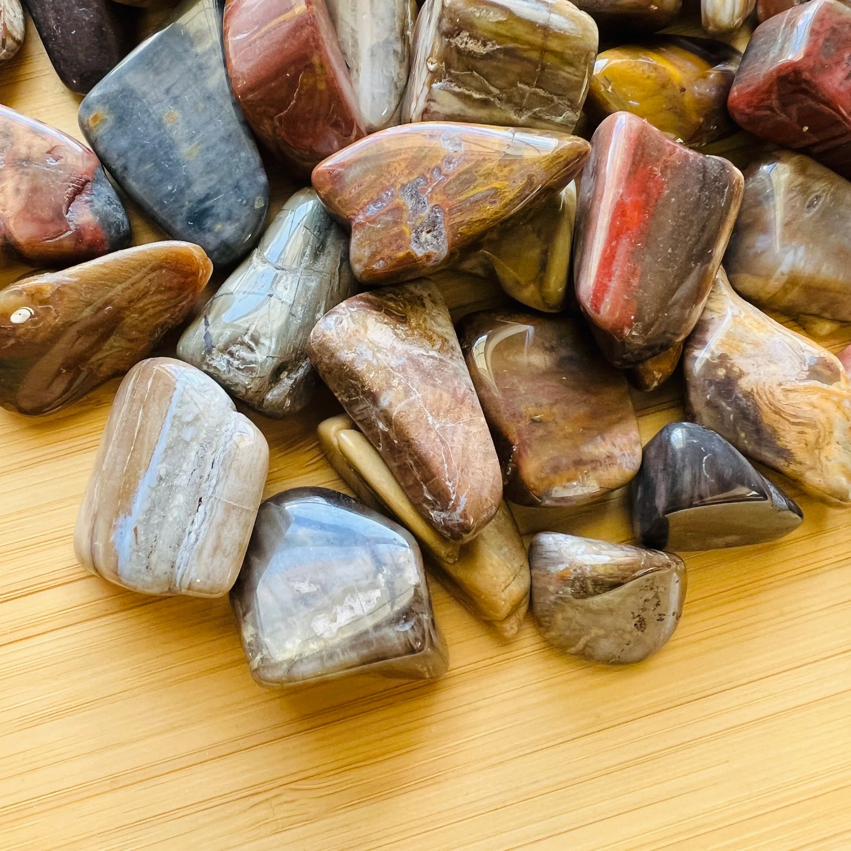 Plan view of Petrified Wood tumbled stone, turned to for Grounding, Madagascar-sourced.