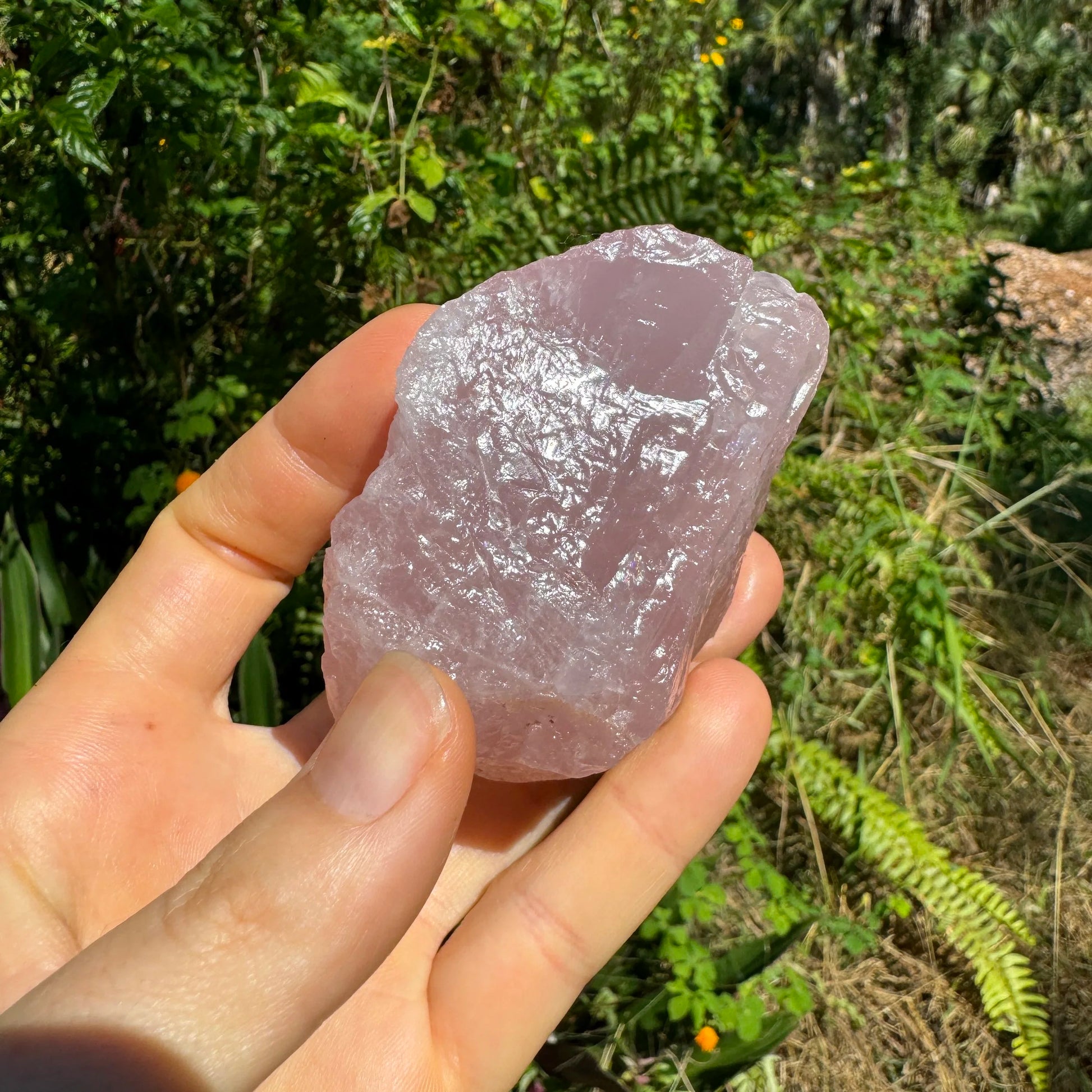 Back view of Grade AAA Rose Quartz specimen showing natural surface