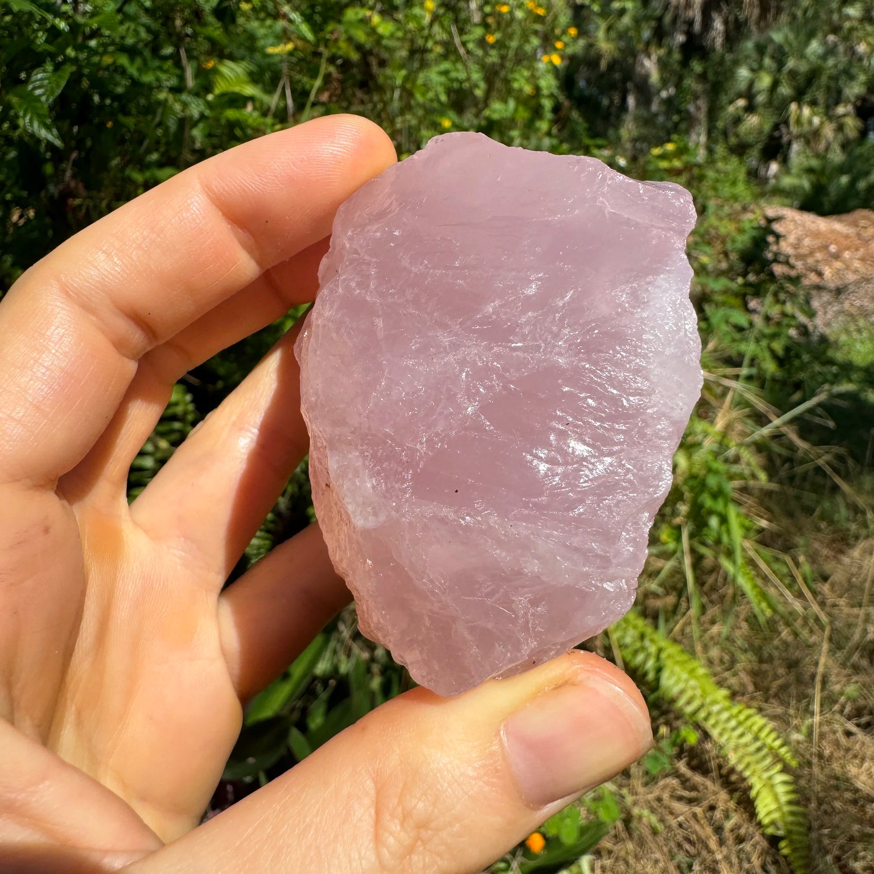 Detail shot of Grade AAA Rose Quartz specimen under natural light