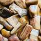 Close detail of Petrified Wood tumbled stone, showing translucent edges, sourced from Boeny, Madagascar.