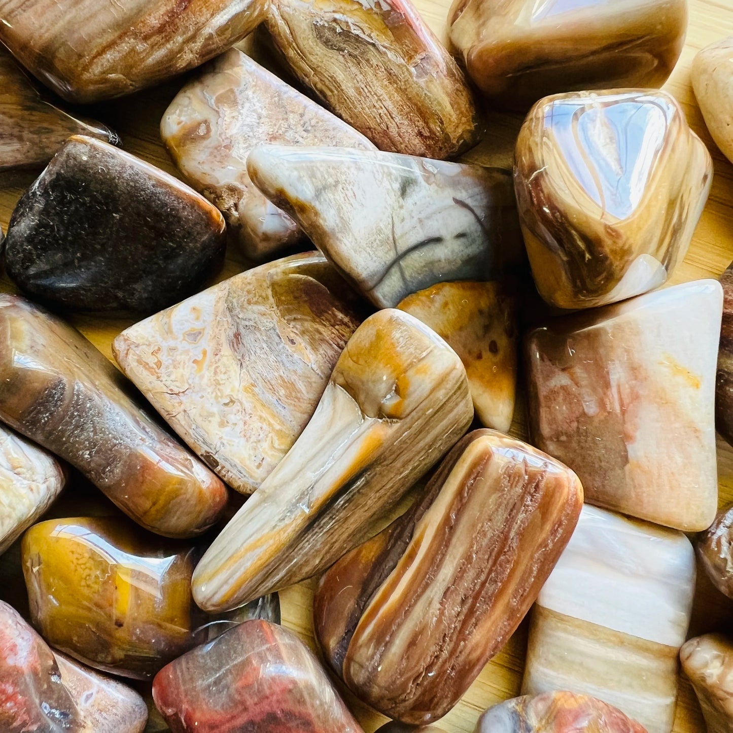 Close detail of Petrified Wood tumbled stone, showing translucent edges, sourced from Boeny, Madagascar.
