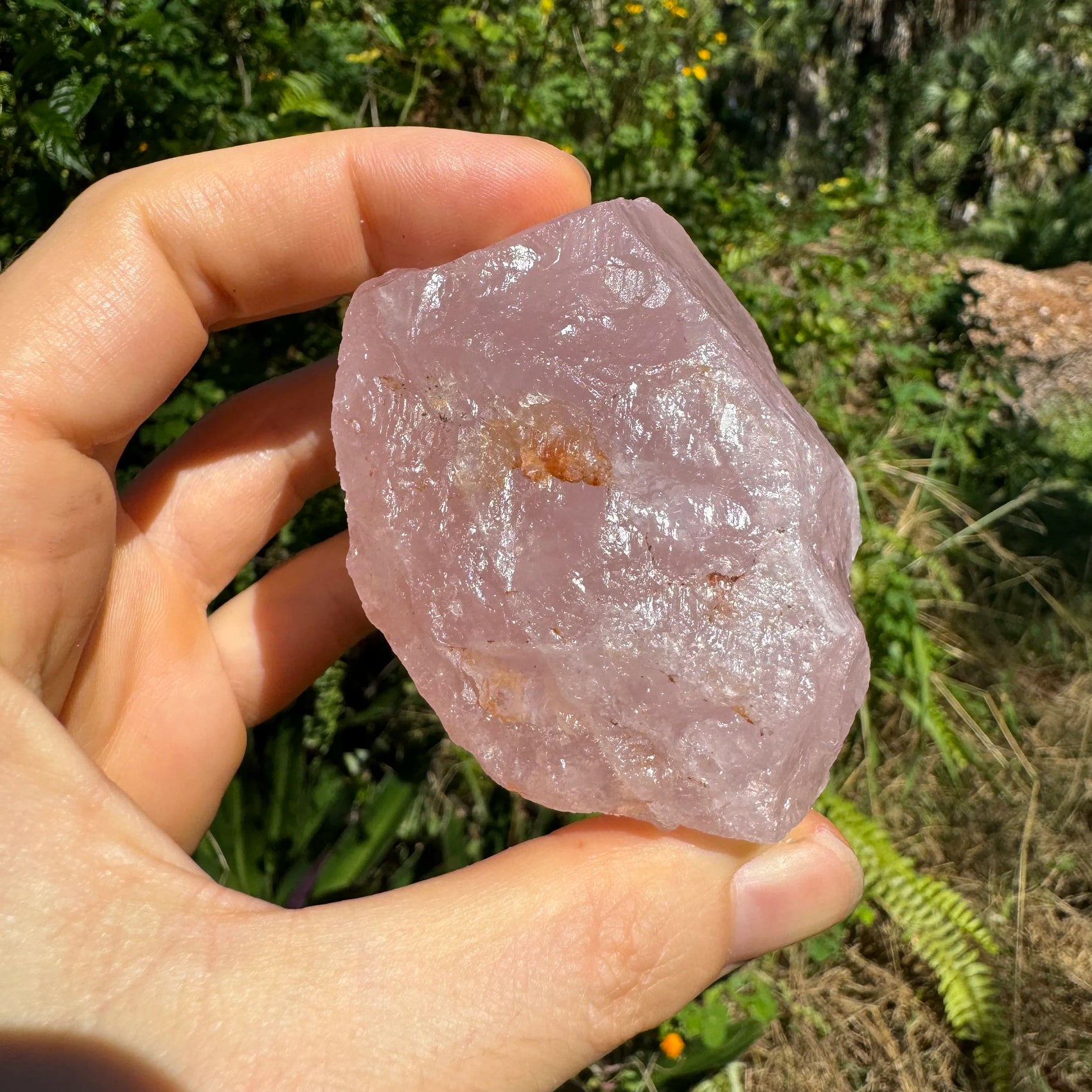 Full profile of Grade AAA Rose Quartz specimen ready to ship from Beyond Bohemian