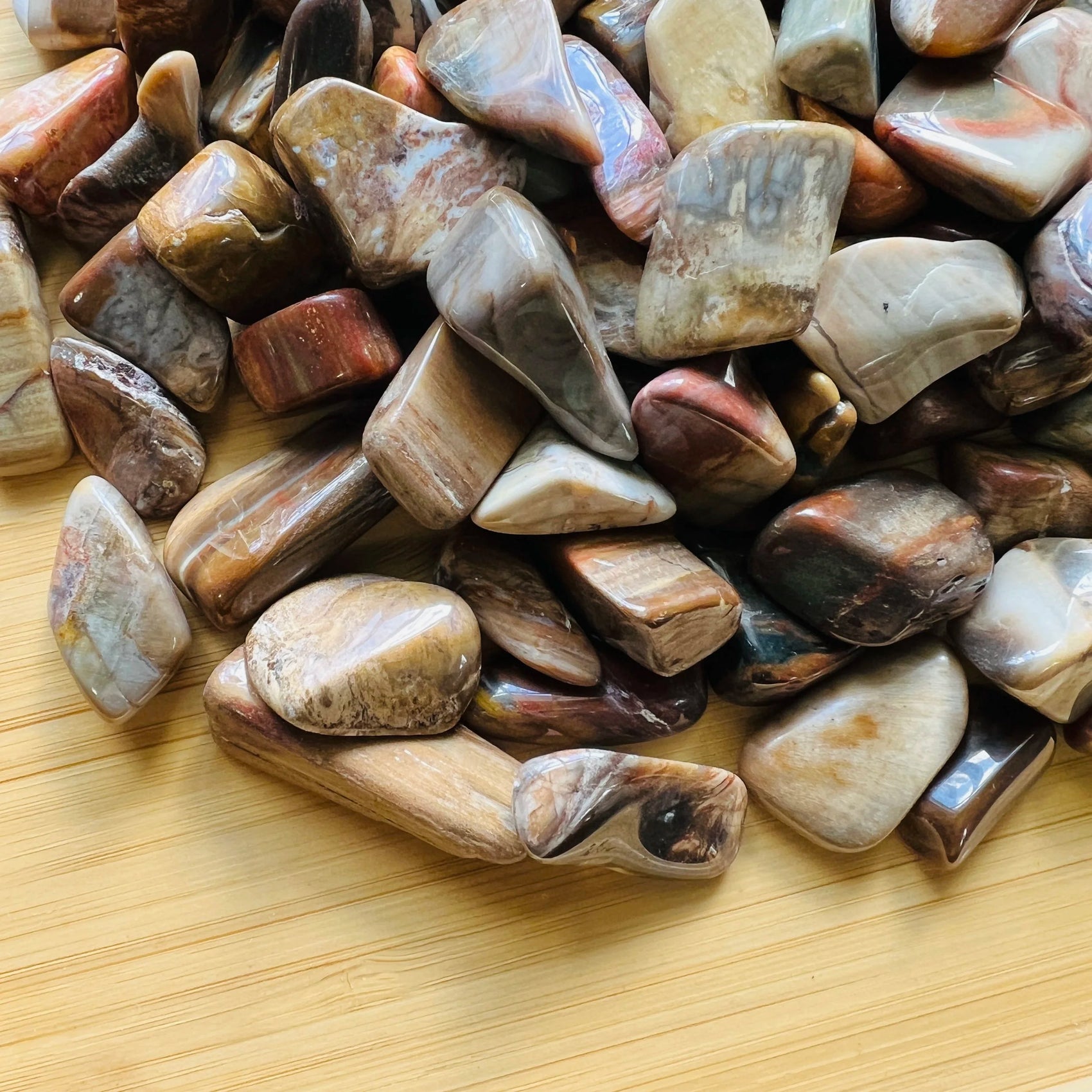Alternate side of Petrified Wood tumbled stone, carried for Grounding.