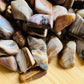 Grain detail of Petrified Wood tumbled stone, kept near for Grounding, showing natural texture.