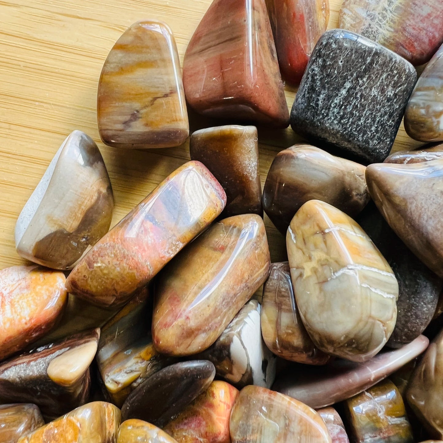 Lateral view of Petrified Wood tumbled stone, from Madagascar, traditionally used for Grounding.