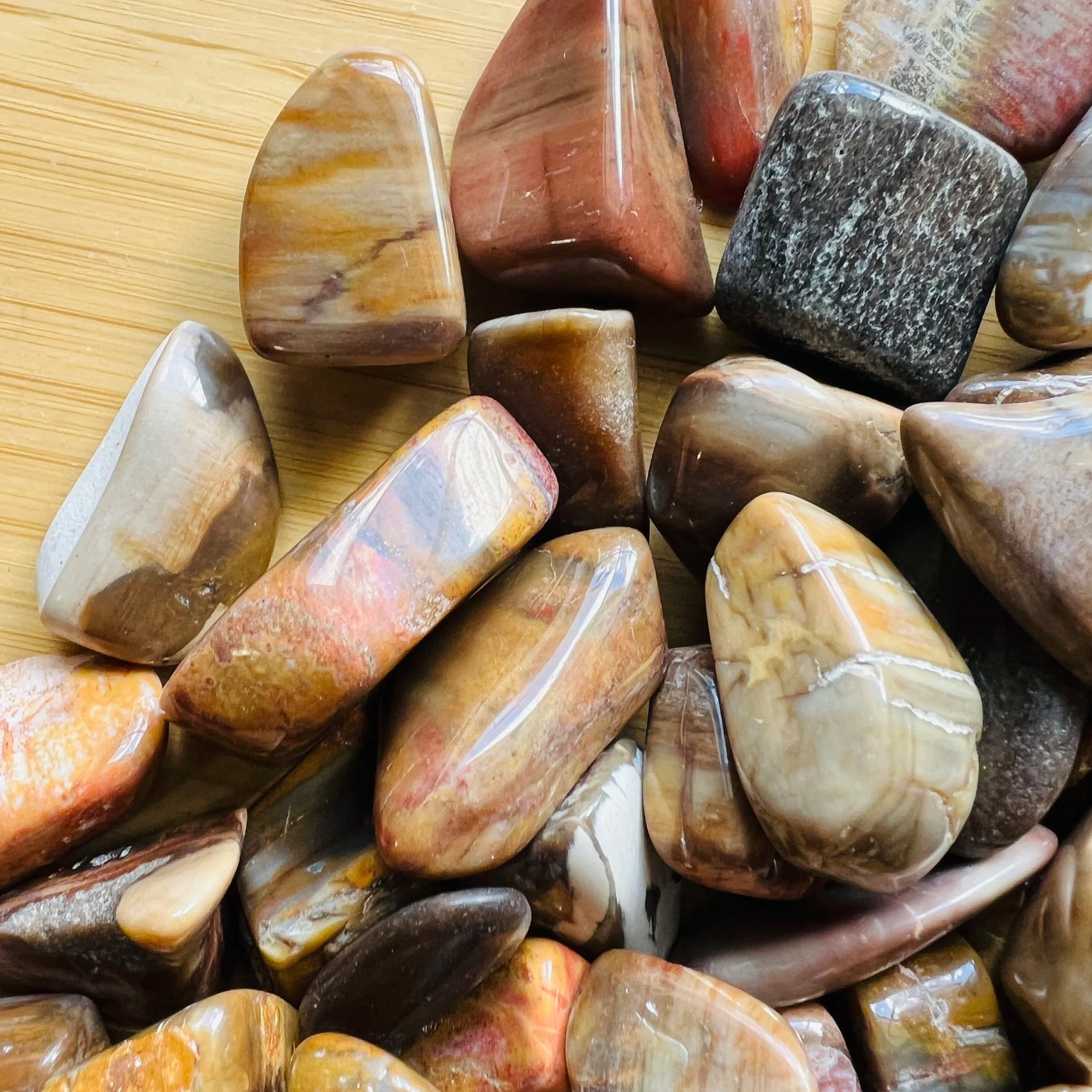 Lateral view of Petrified Wood tumbled stone, from Madagascar, traditionally used for Grounding.