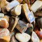 Plan view of Petrified Wood tumbled stone, linked to Grounding.