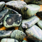 Plan view of Grade AA Kambaba Jasper tumbled stone, showing soft luster.