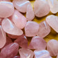Overhead angle of Rose Quartz tumbled stone, showing characteristic color, often paired with practices around Love.