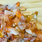 Full profile of Grade AA Tangerine Quartz point ready to ship from Beyond Bohemian