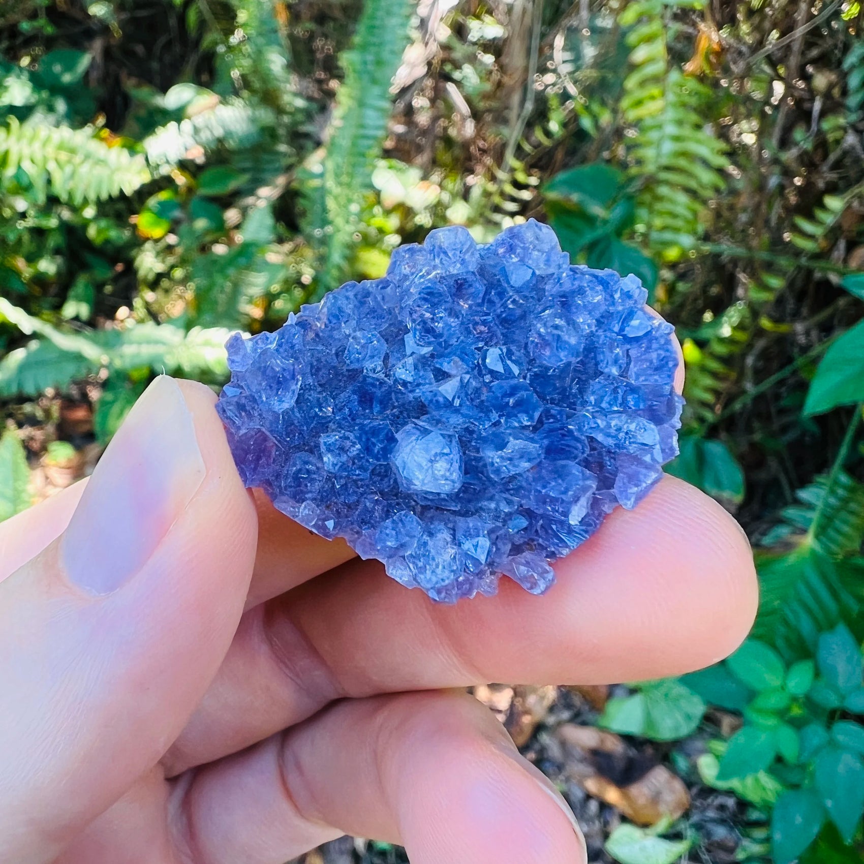 Full profile of Grade A Amethyst raw ready to ship from Beyond Bohemian