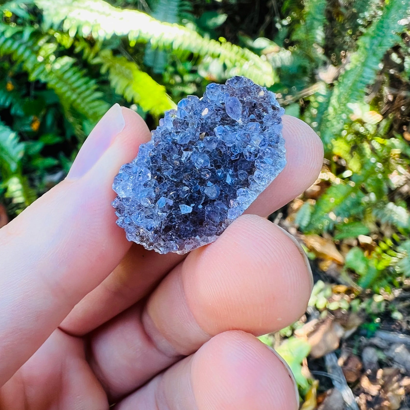 Full profile of Grade A Amethyst raw ready to ship from Beyond Bohemian