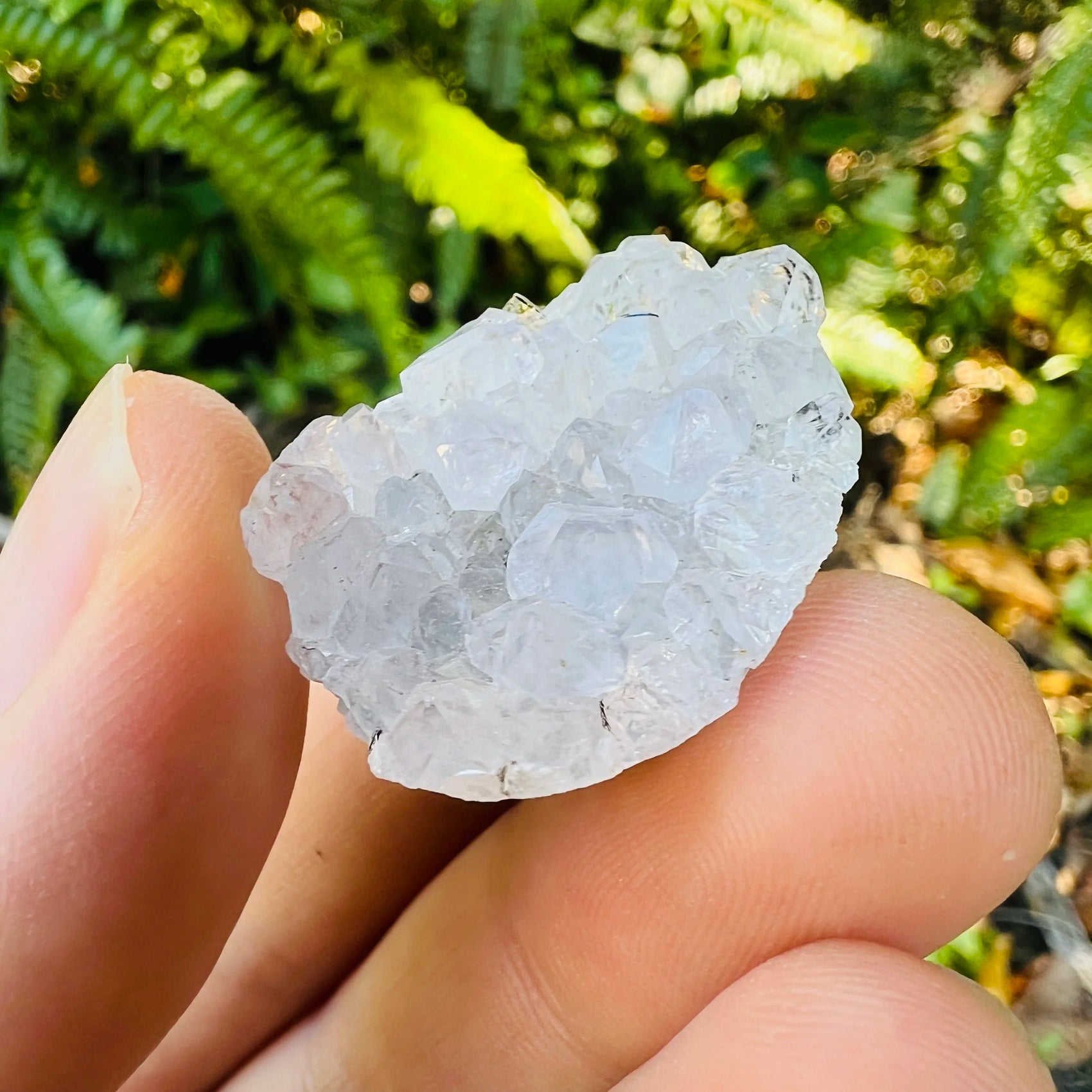 Full profile of Grade A Amethyst raw ready to ship from Beyond Bohemian