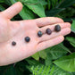 Full profile of Grade AA Garnet raw ready to ship from Beyond Bohemian