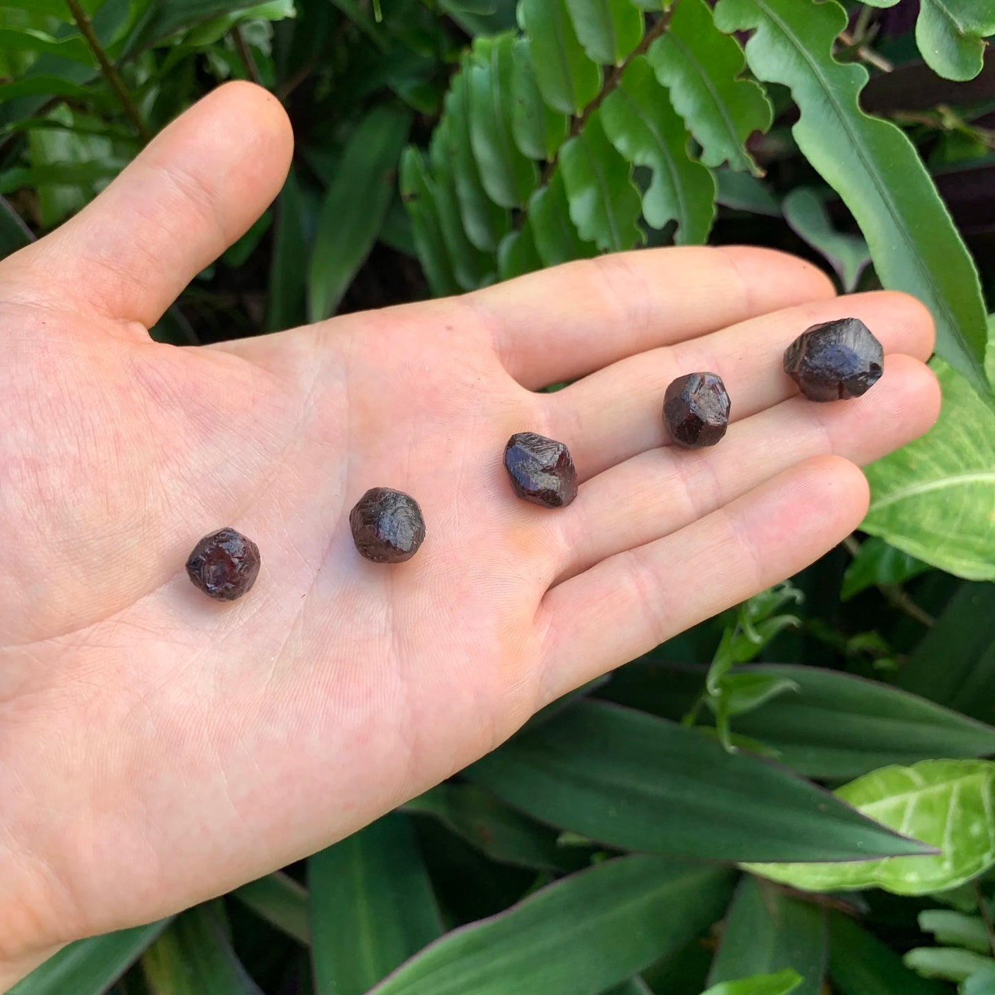 Full profile of Grade AA Garnet raw ready to ship from Beyond Bohemian