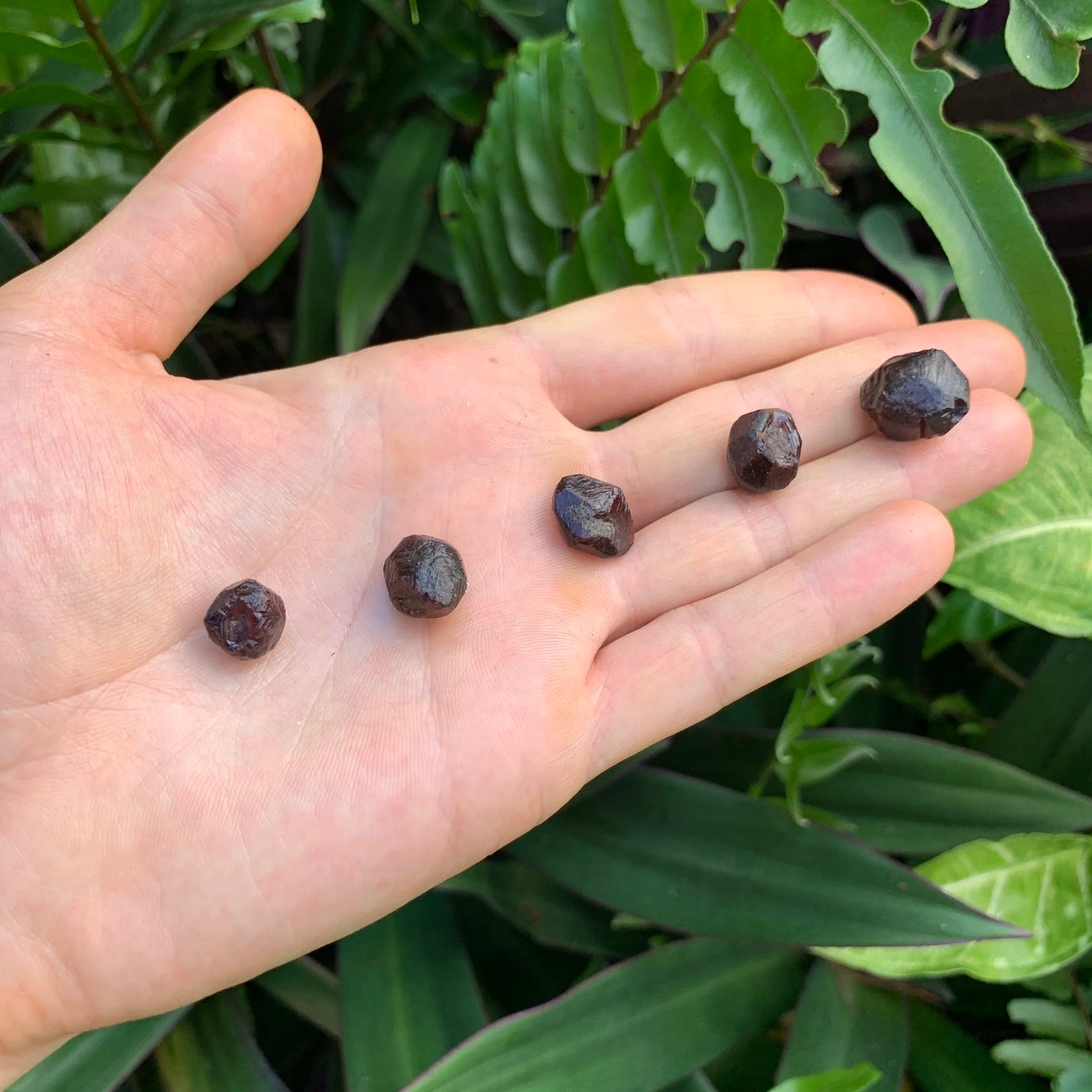 Full profile of Grade AA Garnet raw ready to ship from Beyond Bohemian