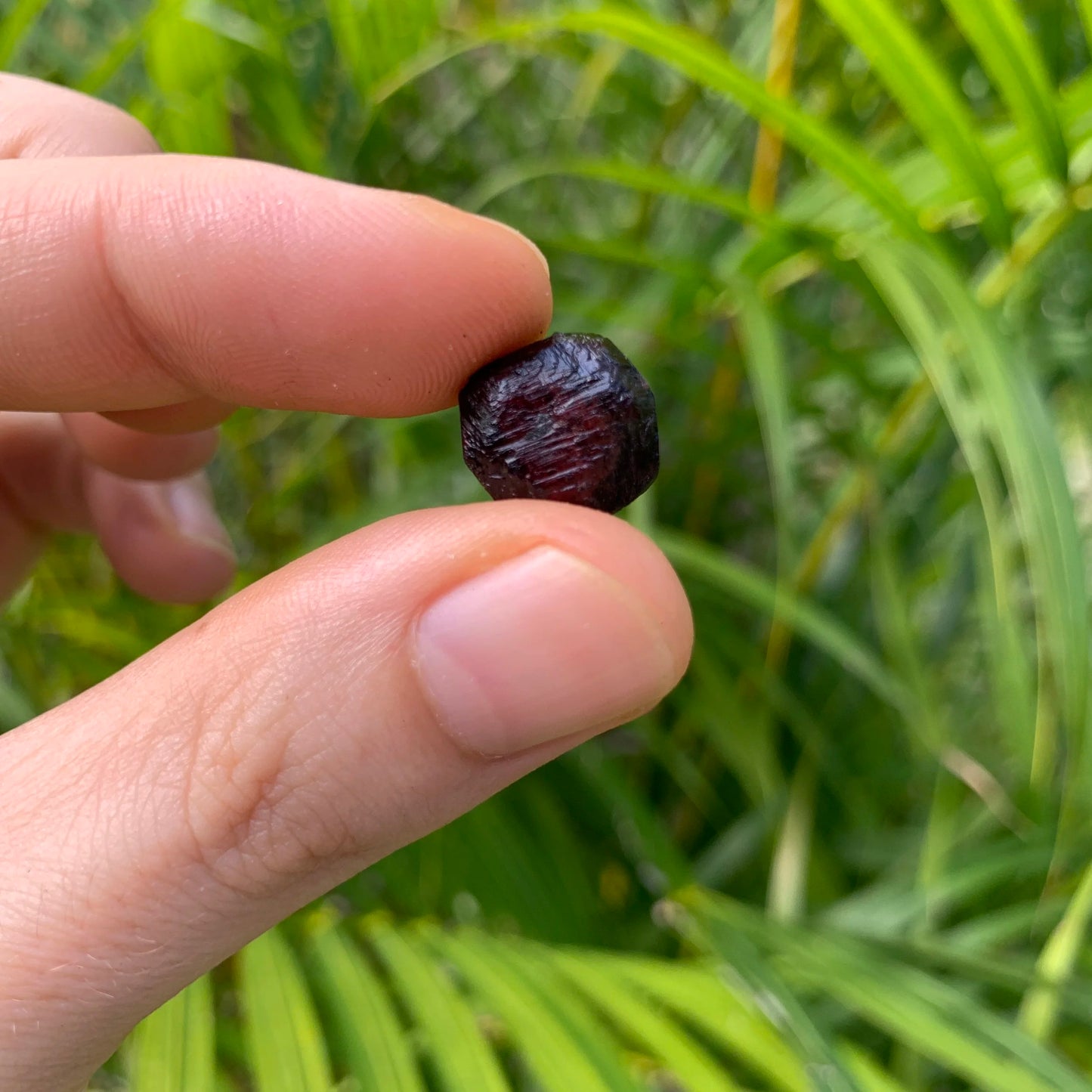 Three-quarter view of Garnet raw crystal, from Minas Gerais, Brazil, often kept for Grounding, with weight visible in the palm.