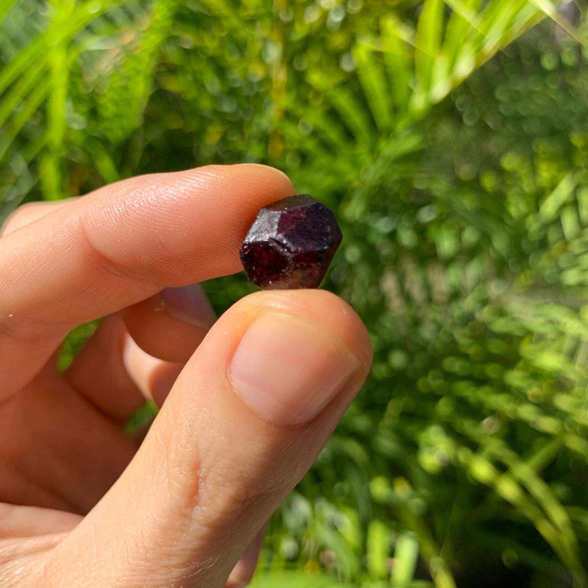 Hand-scale shot of a Garnet raw stone often kept for Energy and Confidence.