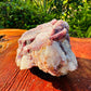 Size comparison with a Lepidolite specimen held against natural backdrop, from Brazil.