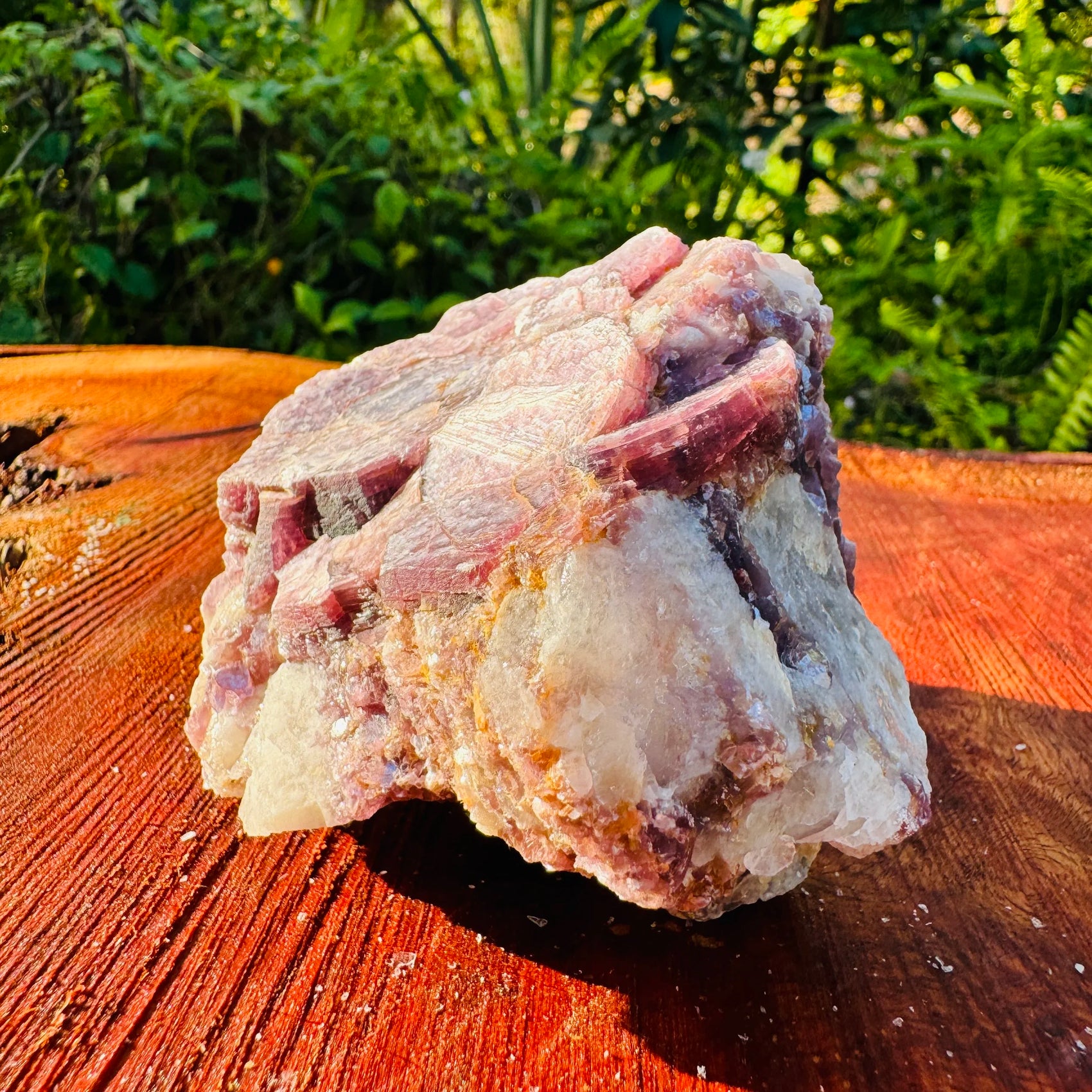 Size comparison with a Lepidolite specimen held against natural backdrop, from Brazil.