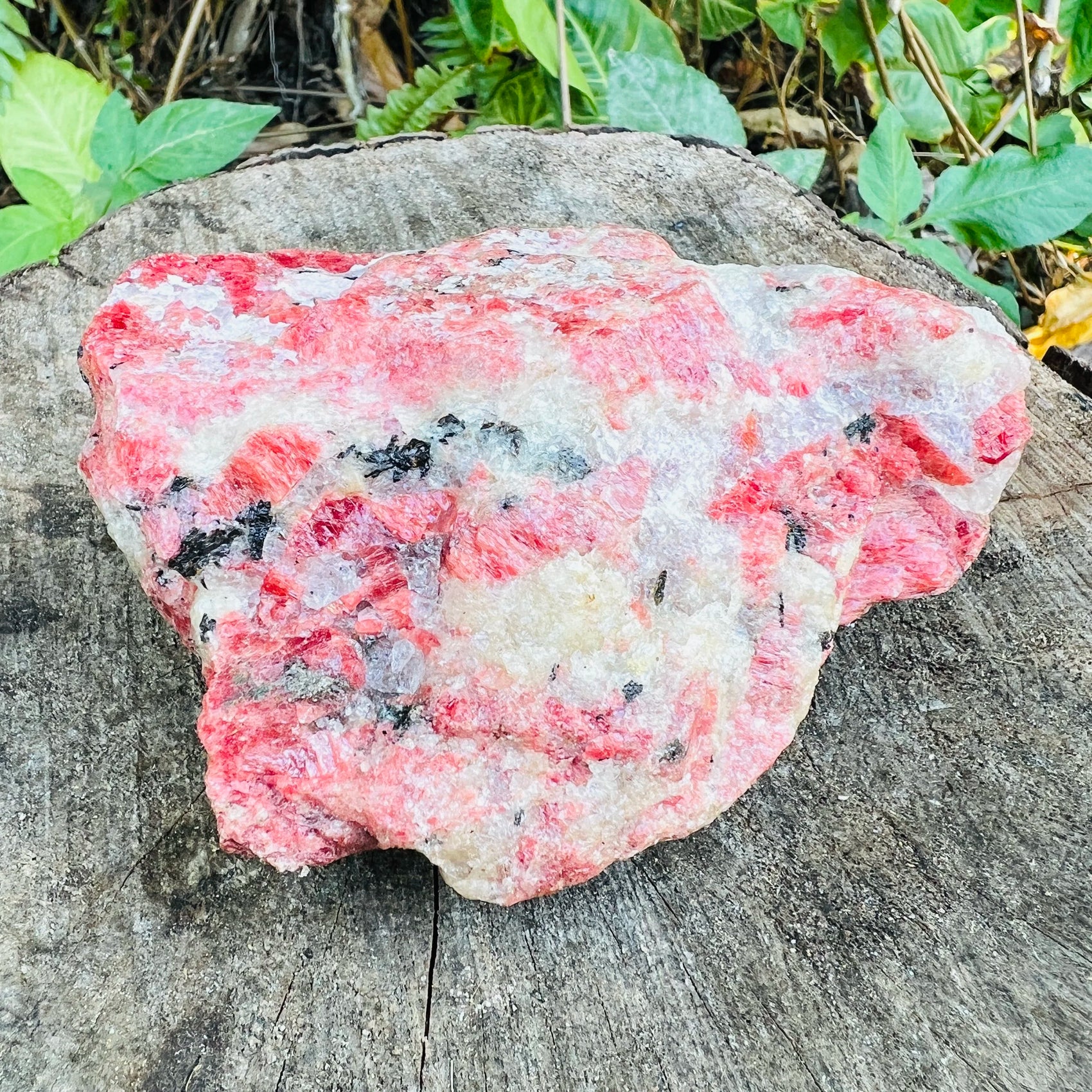 Full profile of Grade AA Rhodonite specimen ready to ship from Beyond Bohemian