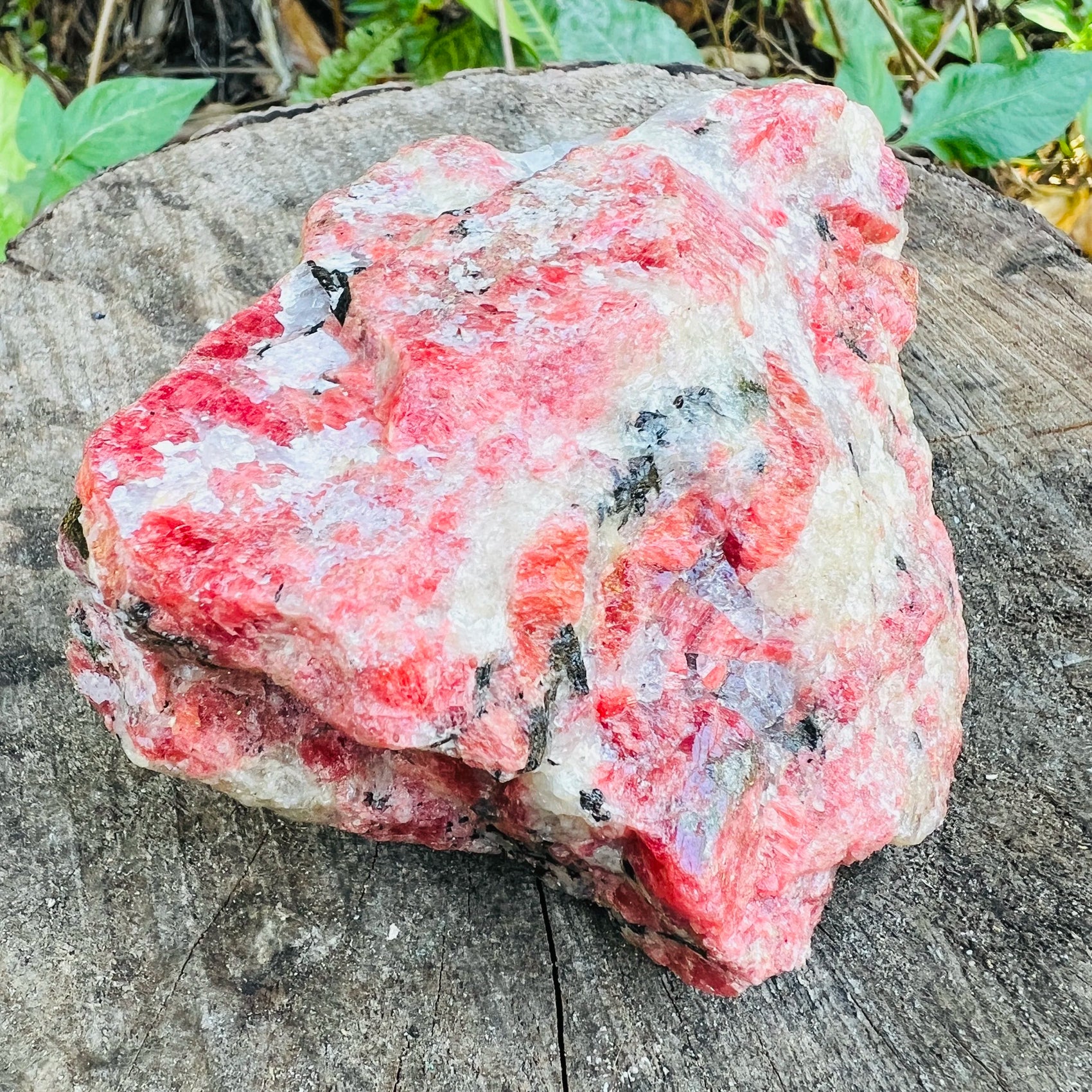 Resting display of Rhodonite specimen, shown alongside the hand for scale.