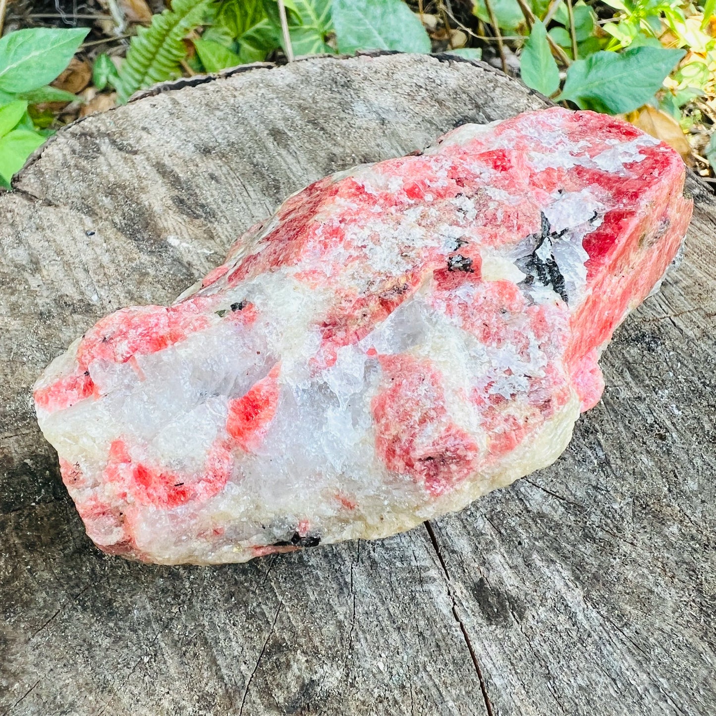 Back view of Grade AA Rhodonite specimen showing natural surface