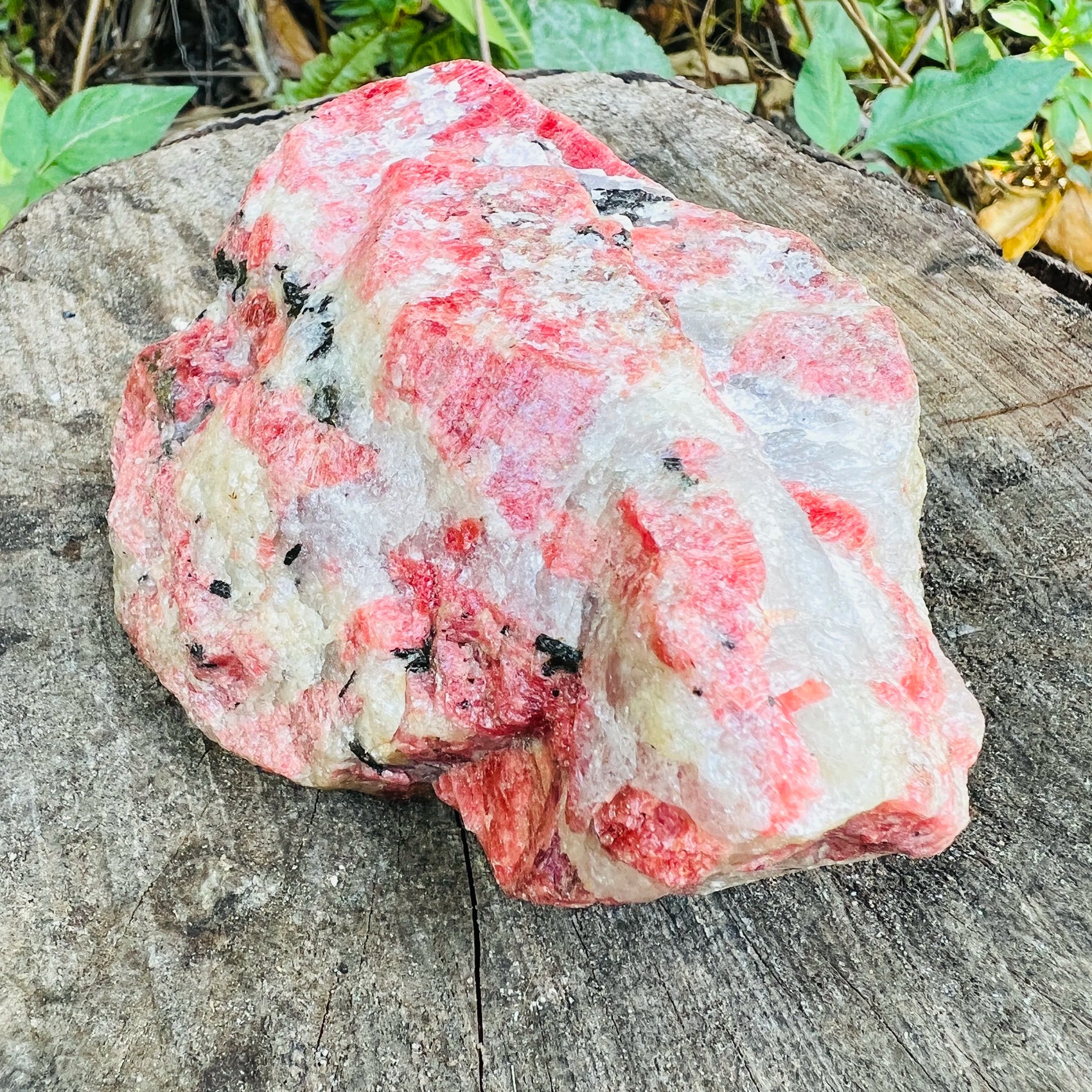 Detail shot of Grade AA Rhodonite specimen under natural light
