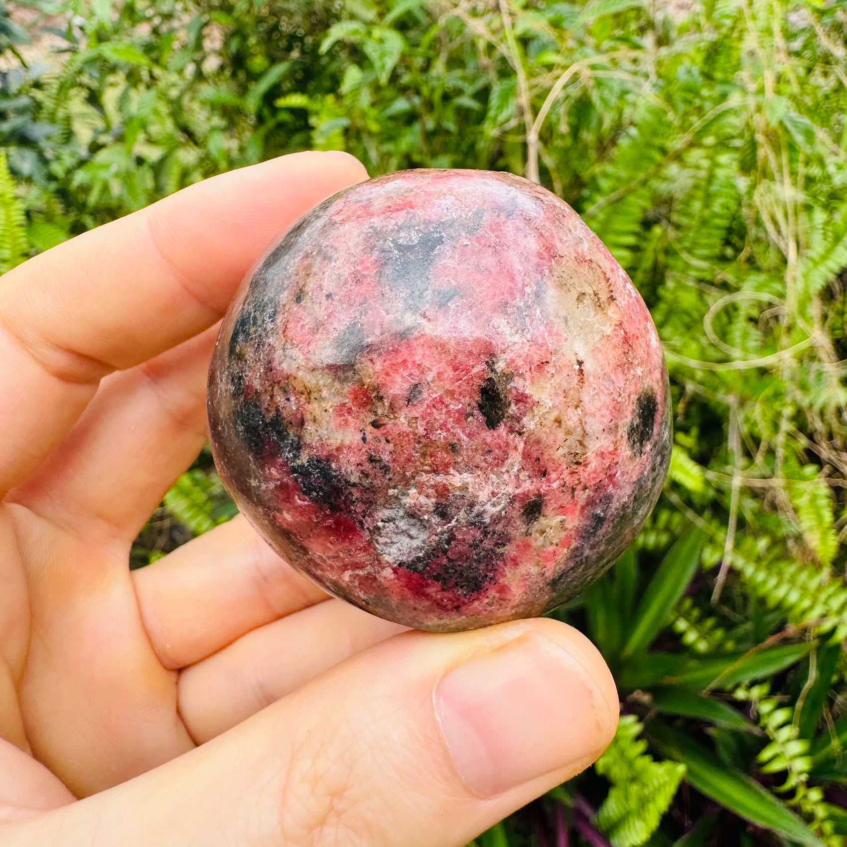 Scale comparison of Rhodonite stone, traditionally used for Love, showing natural surface character.