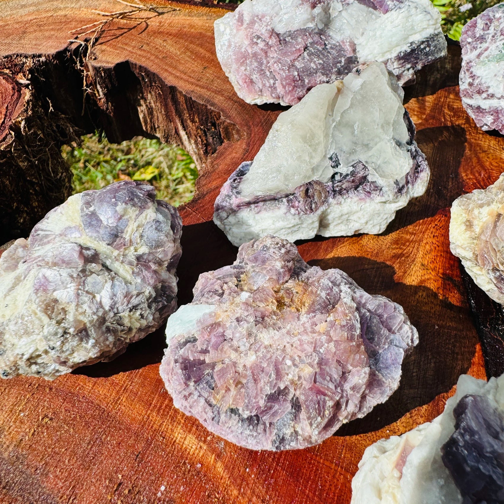 Hand-held view of a Lepidolite specimen associated with Stress Relief, from Minas Gerais, Brazil.