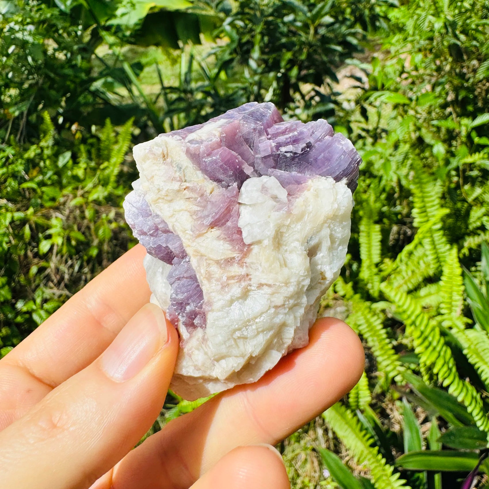 Detail shot of Grade AA Lepidolite specimen under natural light
