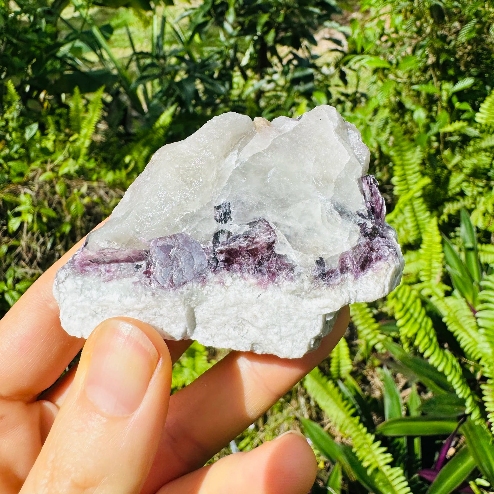 Full profile of Grade AA Lepidolite specimen ready to ship from Beyond Bohemian