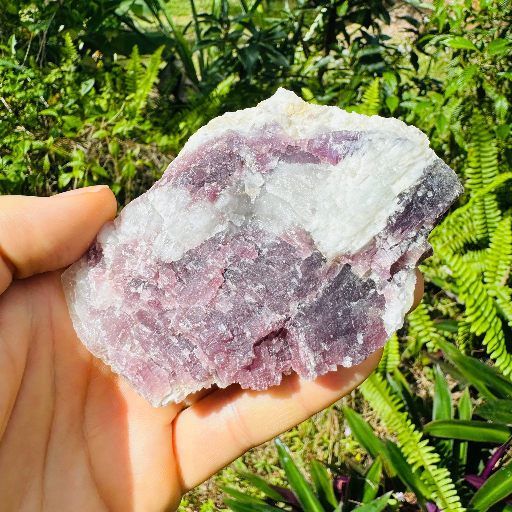 Full profile of Grade AA Lepidolite specimen ready to ship from Beyond Bohemian