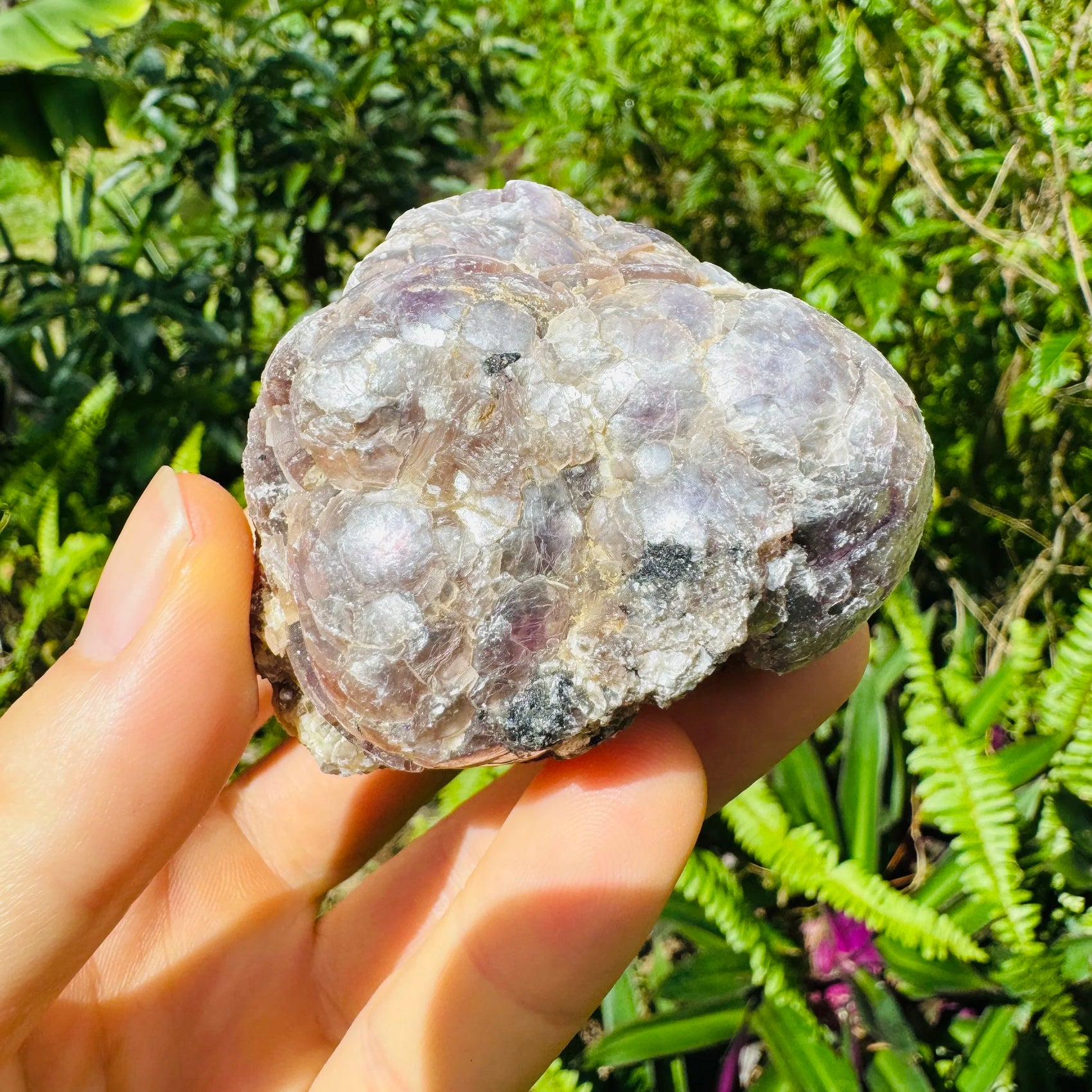 Full profile of Grade AA Lepidolite specimen ready to ship from Beyond Bohemian