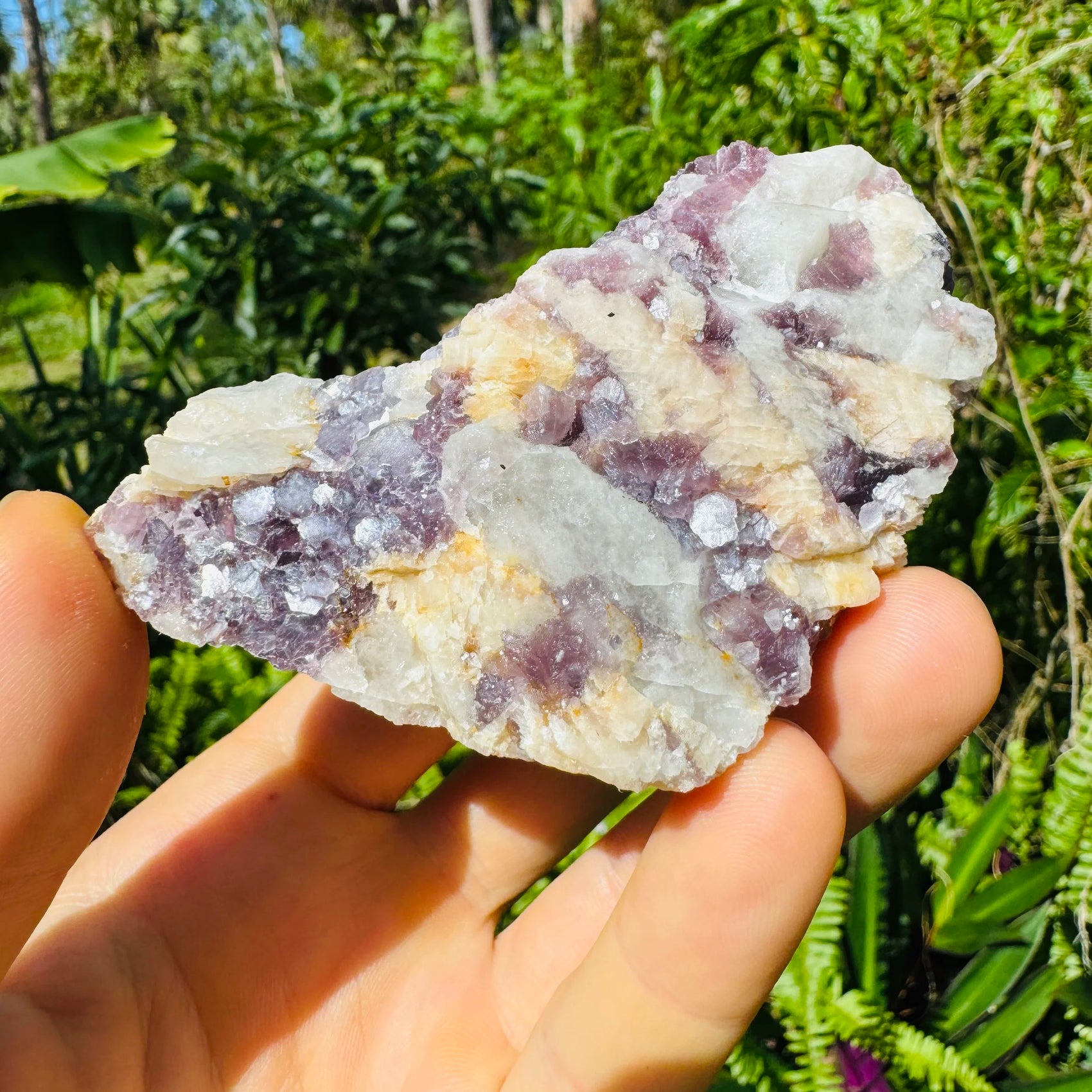 Back view of Grade AA Lepidolite specimen showing natural surface
