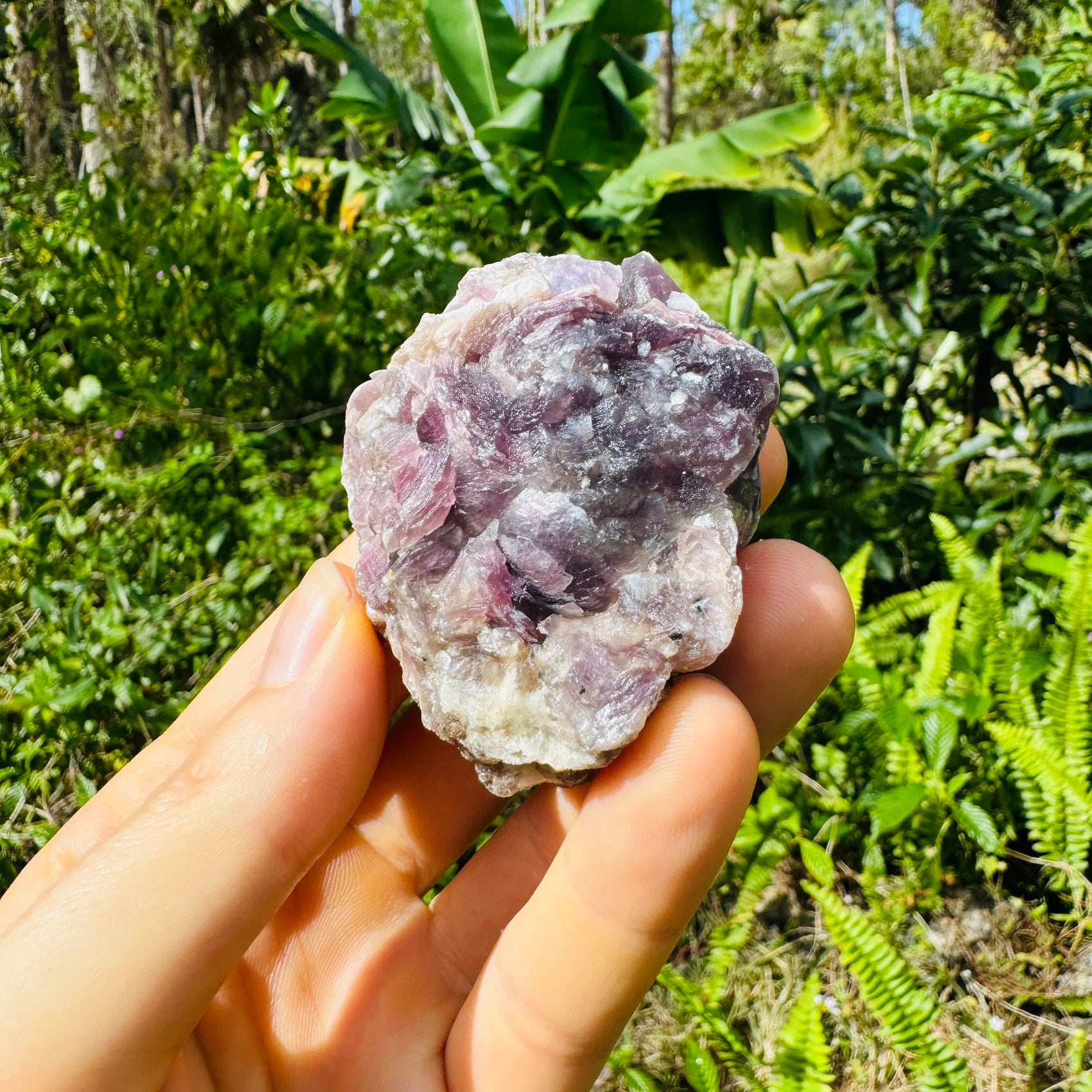 Full profile of Grade AA Lepidolite specimen ready to ship from Beyond Bohemian